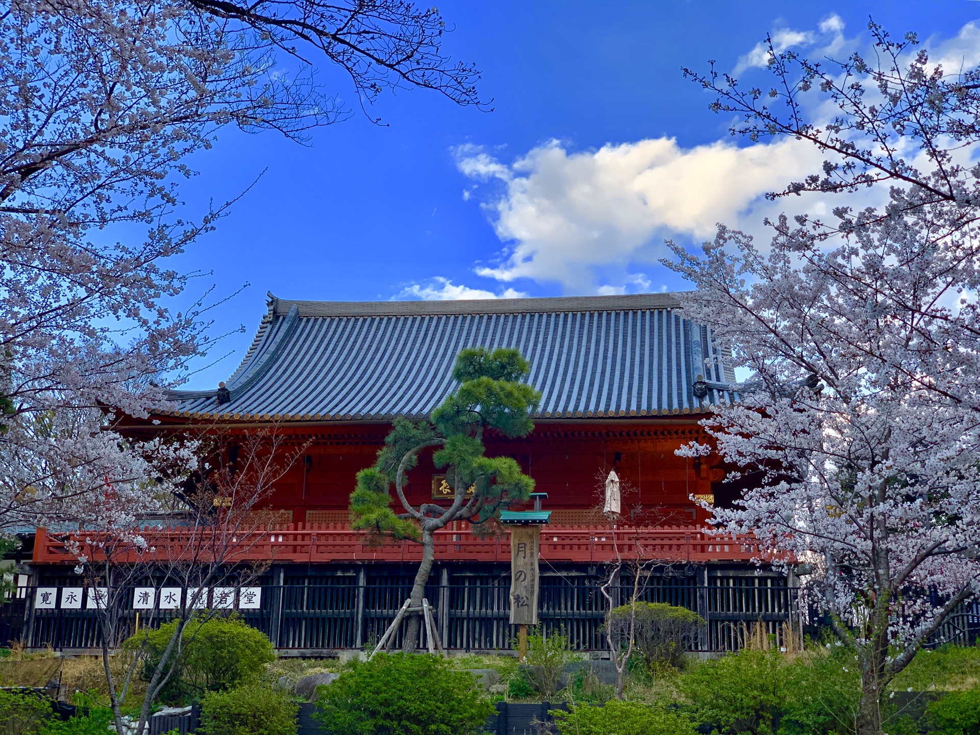 東京自助遊攻略