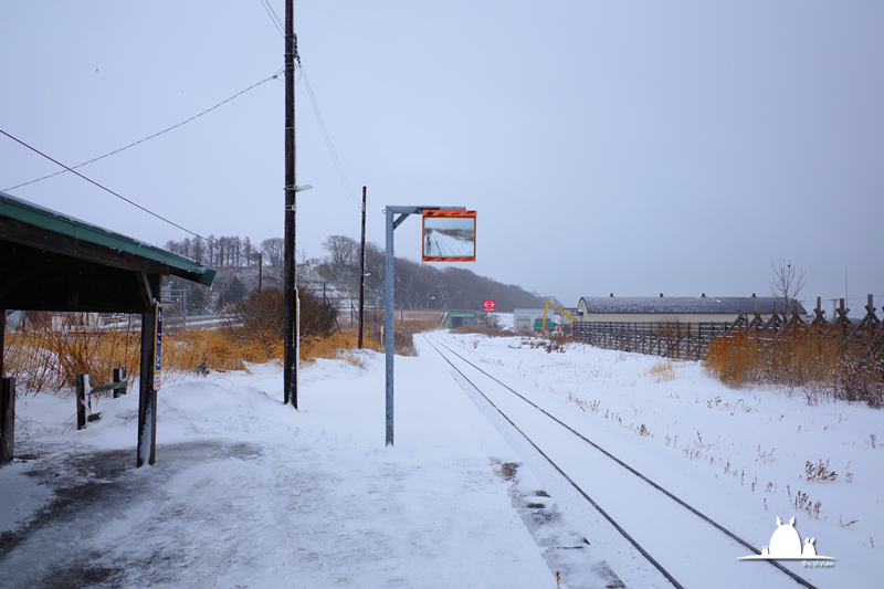 北海道自助遊攻略