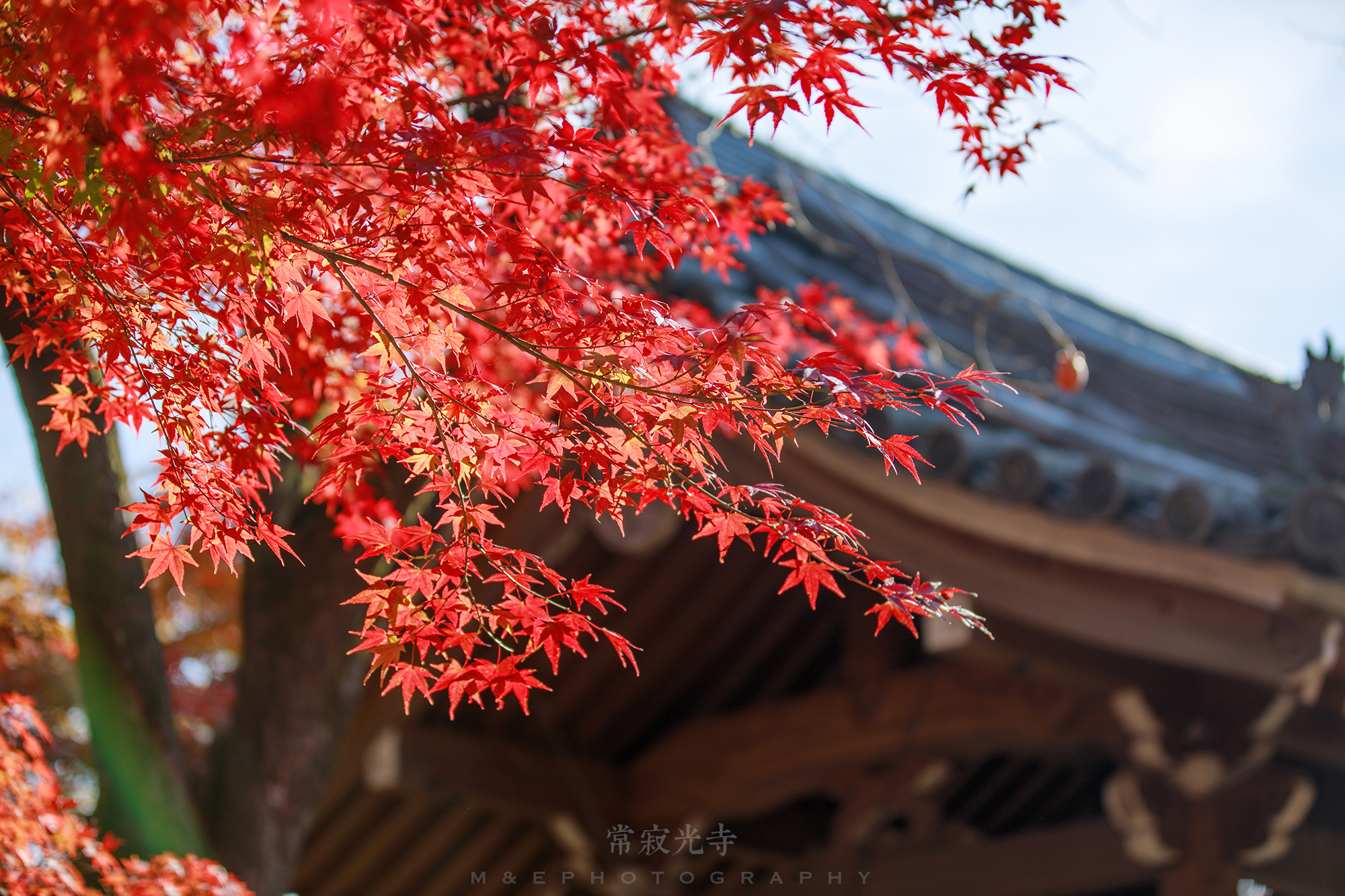 京都自助遊攻略