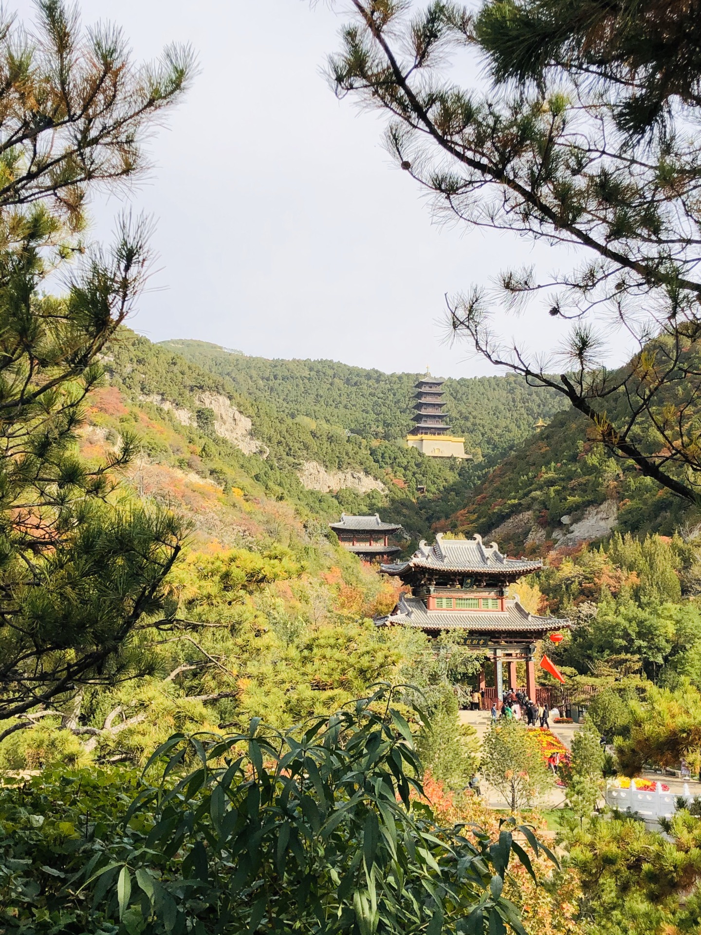 2019秋10月:龙山红叶秋意浓,童子寺大佛灯塔,太原旅游攻略 - 马蜂窝