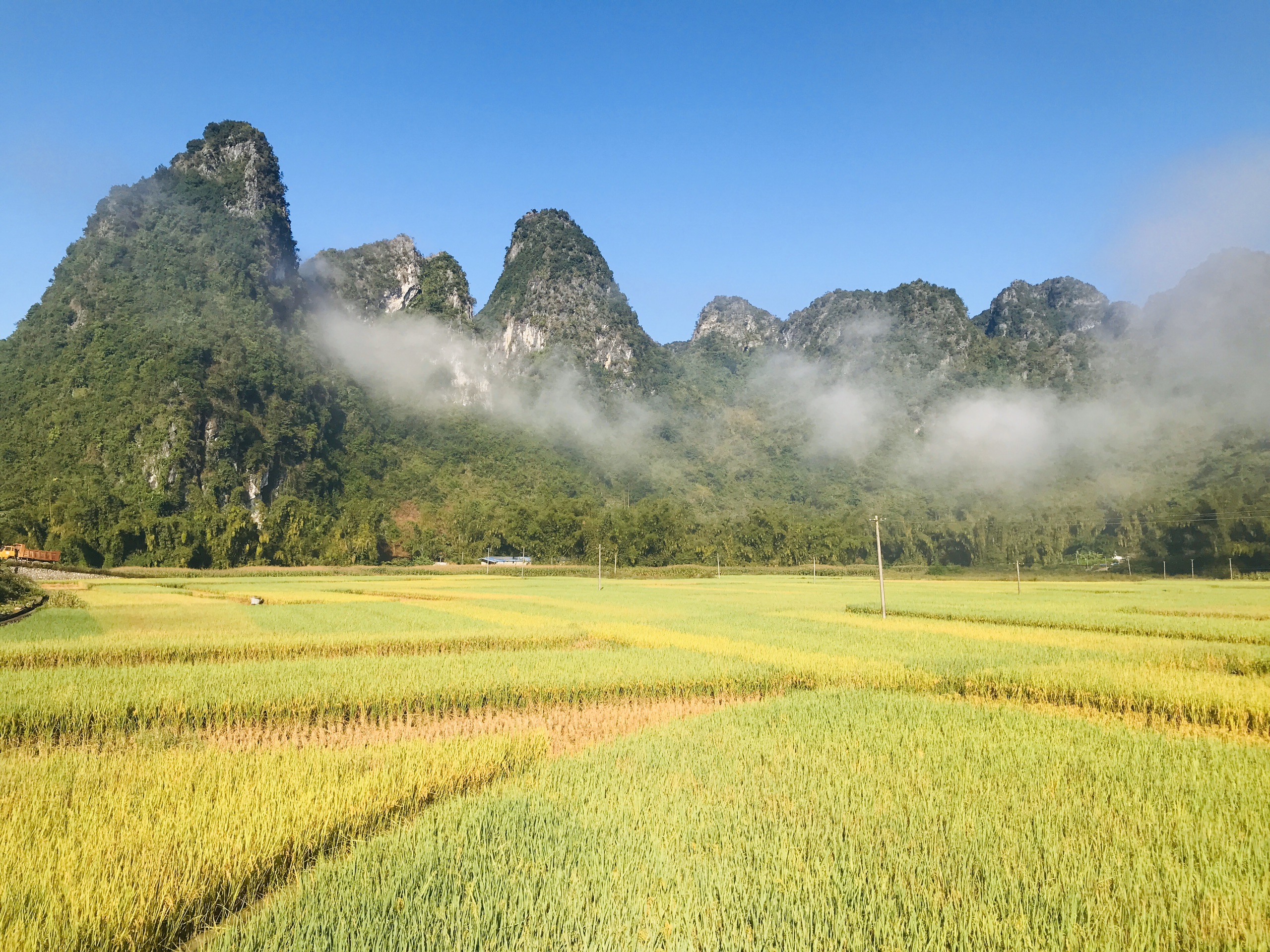 天等旅游图片,天等自助游图片,天等旅游景点照片 - 马蜂窝图库 - 马蜂