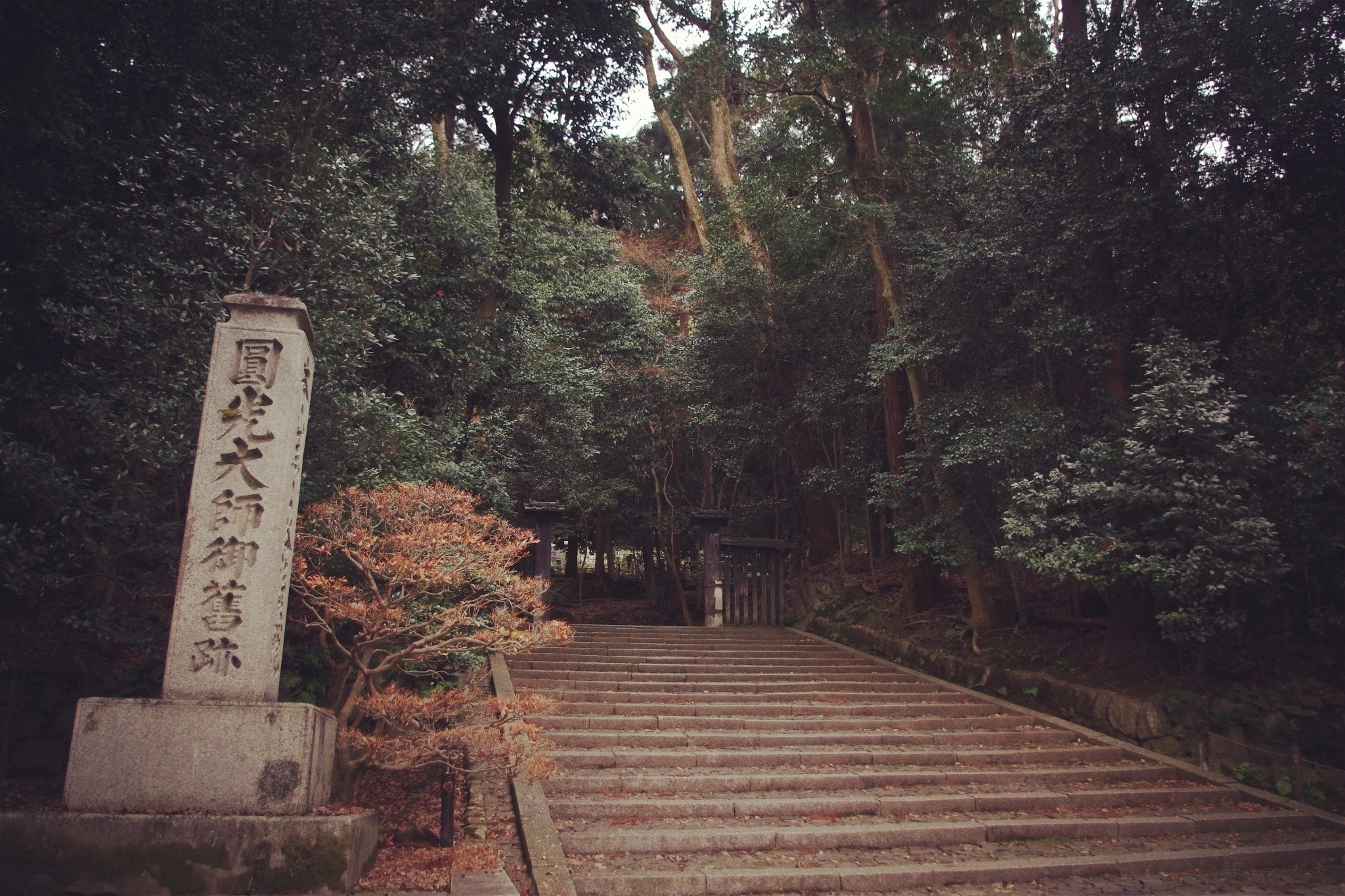 京都自助遊攻略