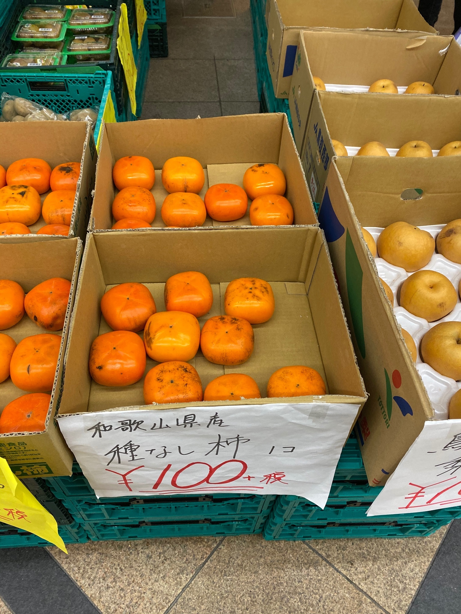 京都自助遊攻略