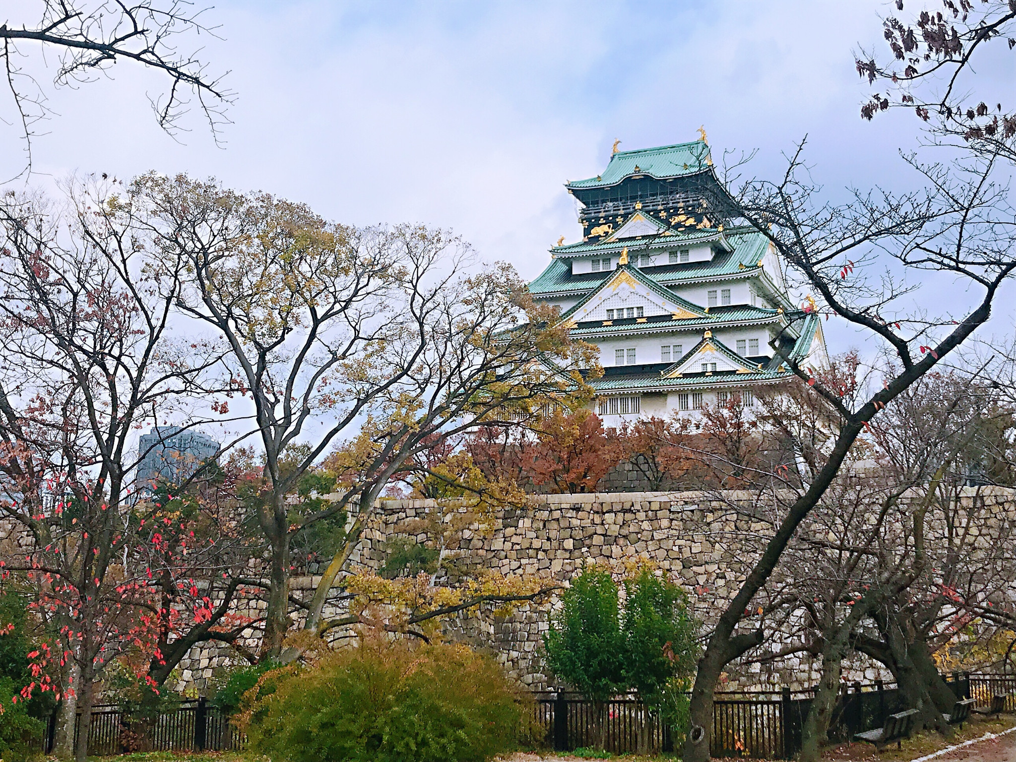 京都自助遊攻略