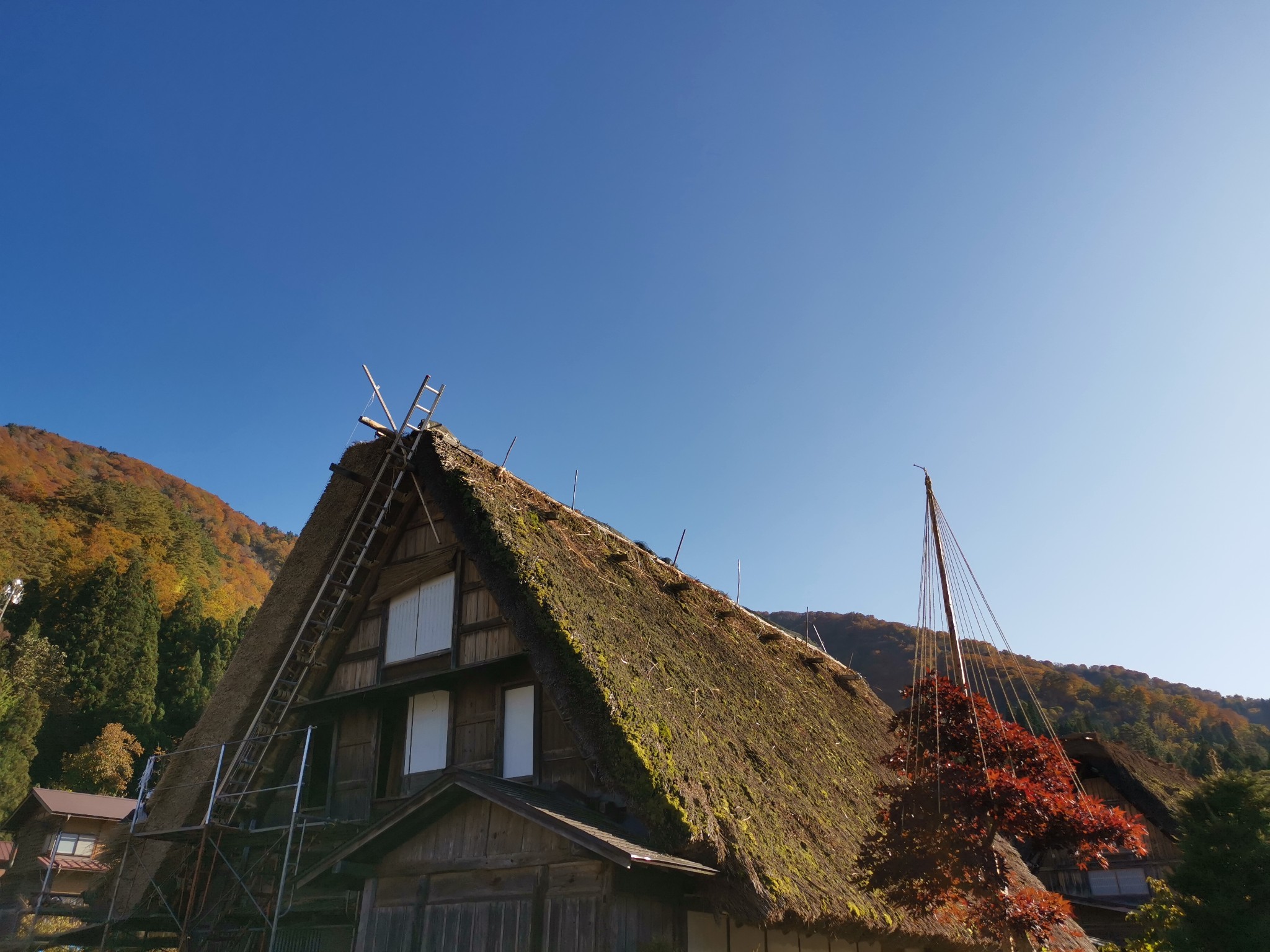 北海道自助遊攻略