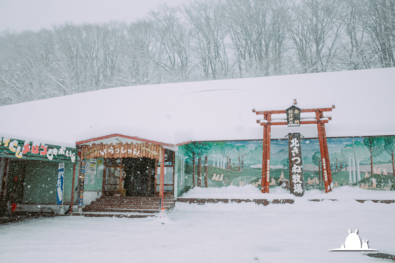 北海道自助遊攻略