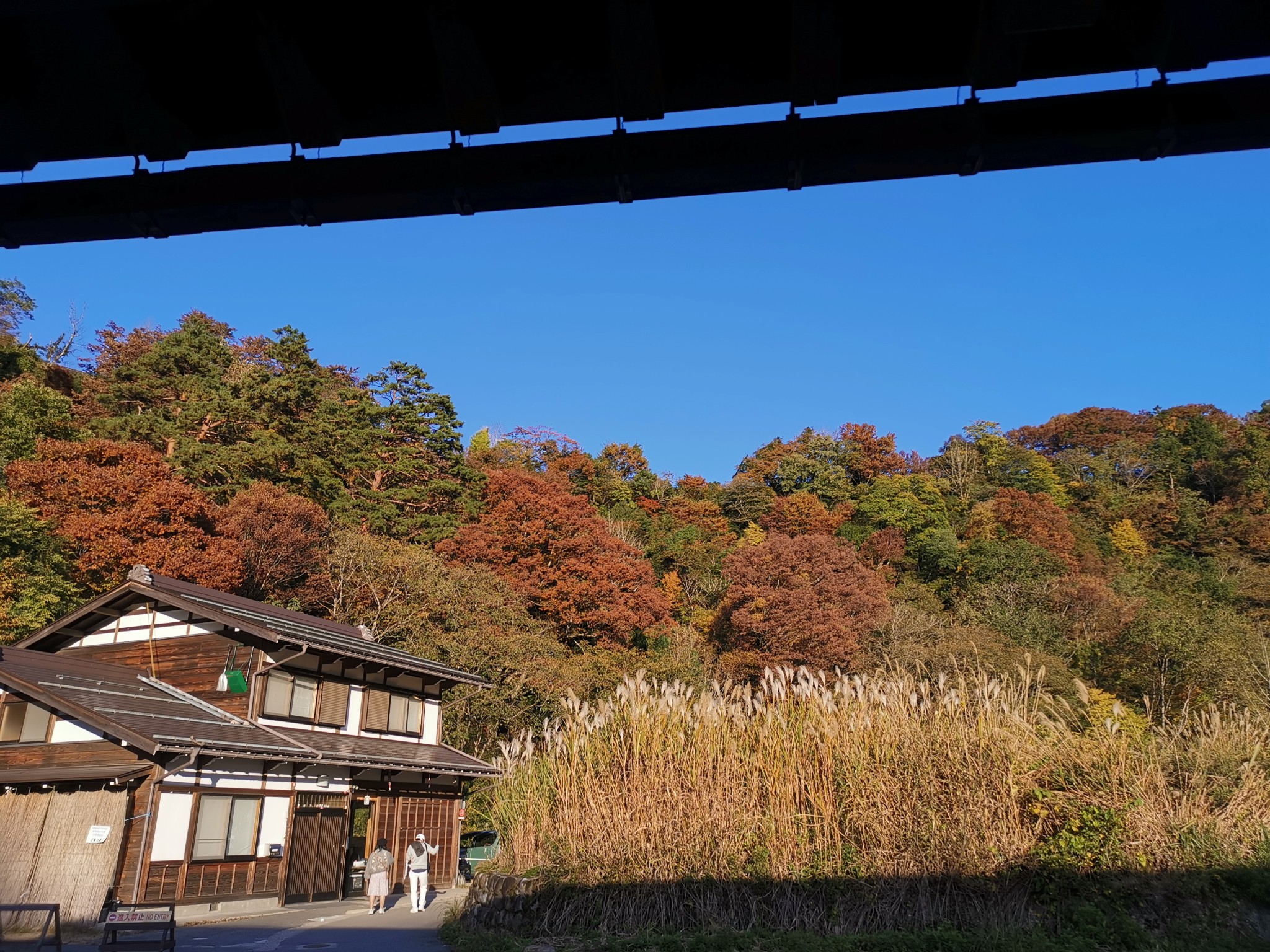 北海道自助遊攻略