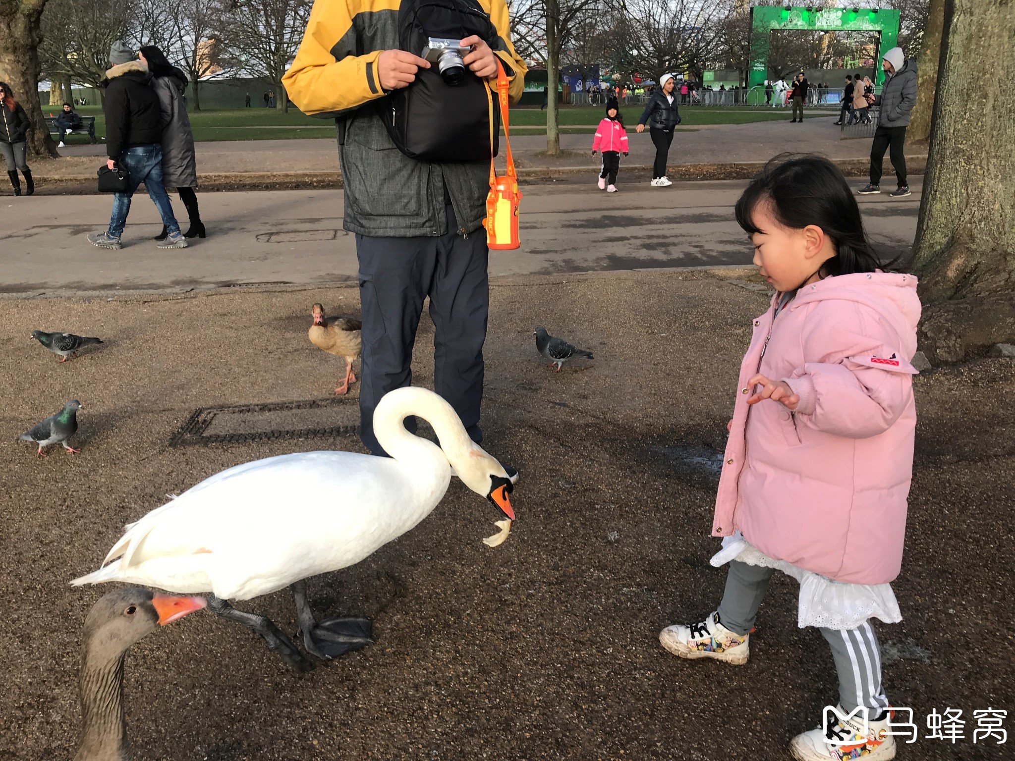 英國自助遊攻略