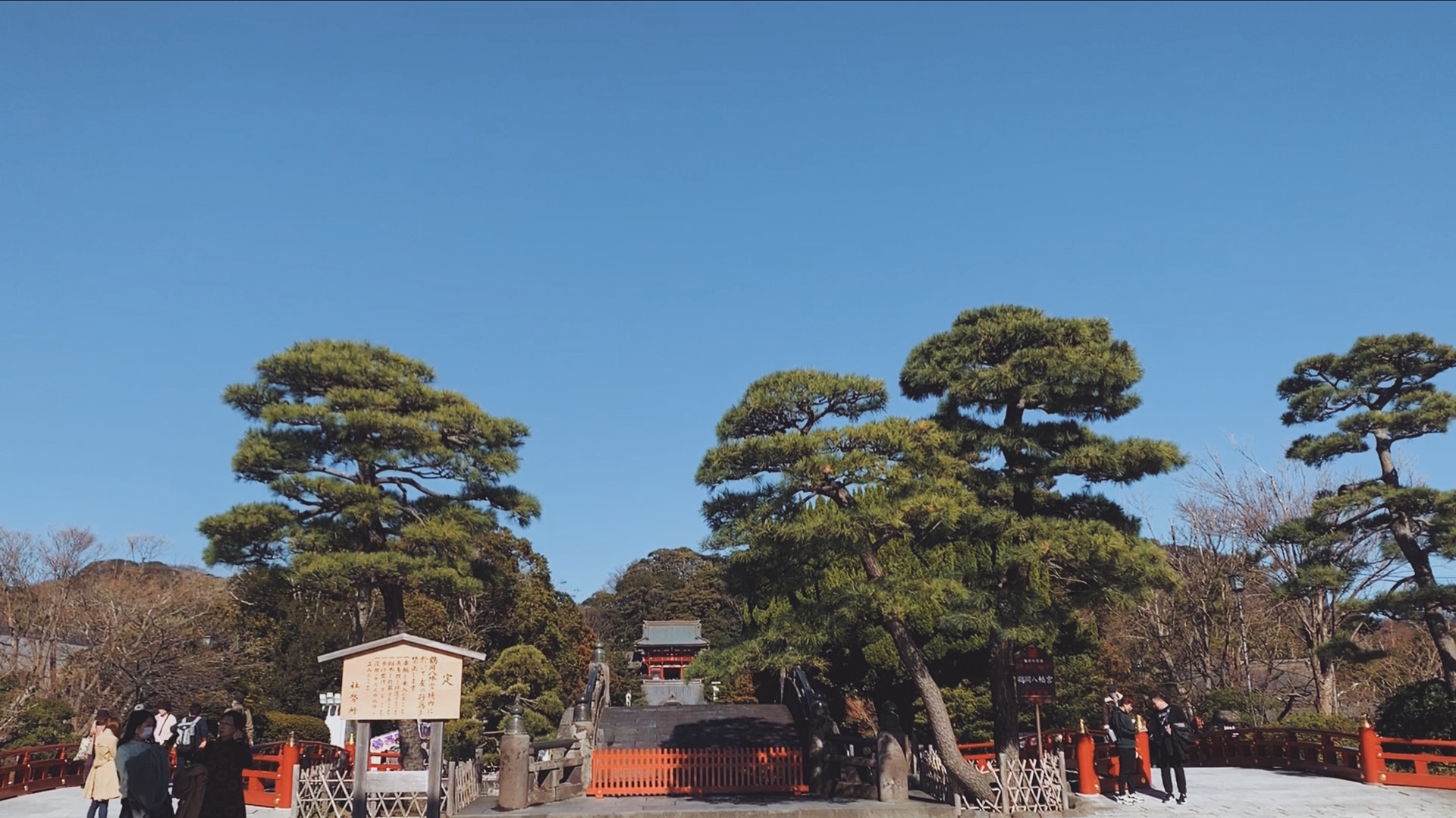 東京自助遊攻略