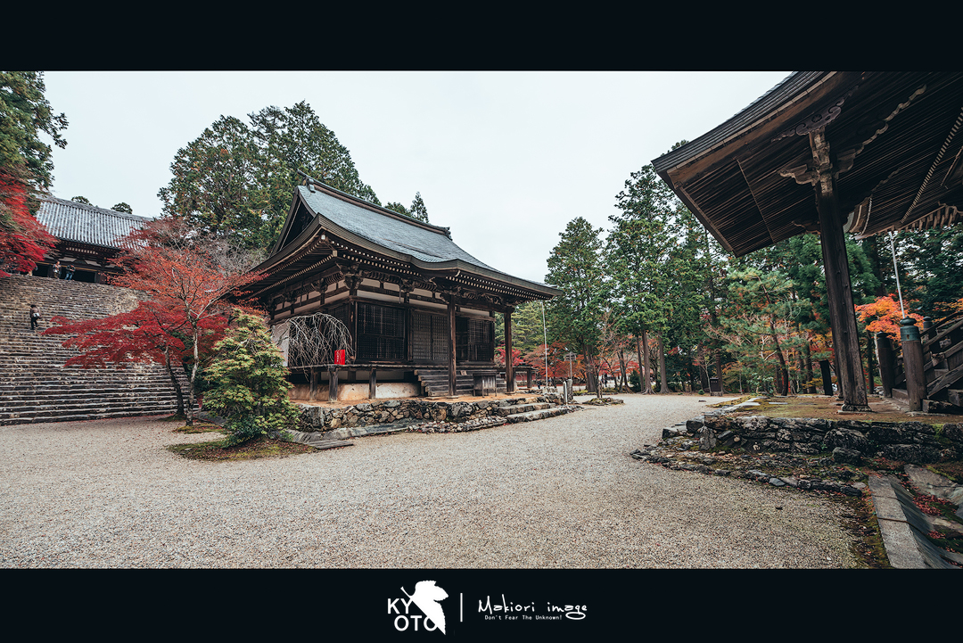 京都自助遊攻略