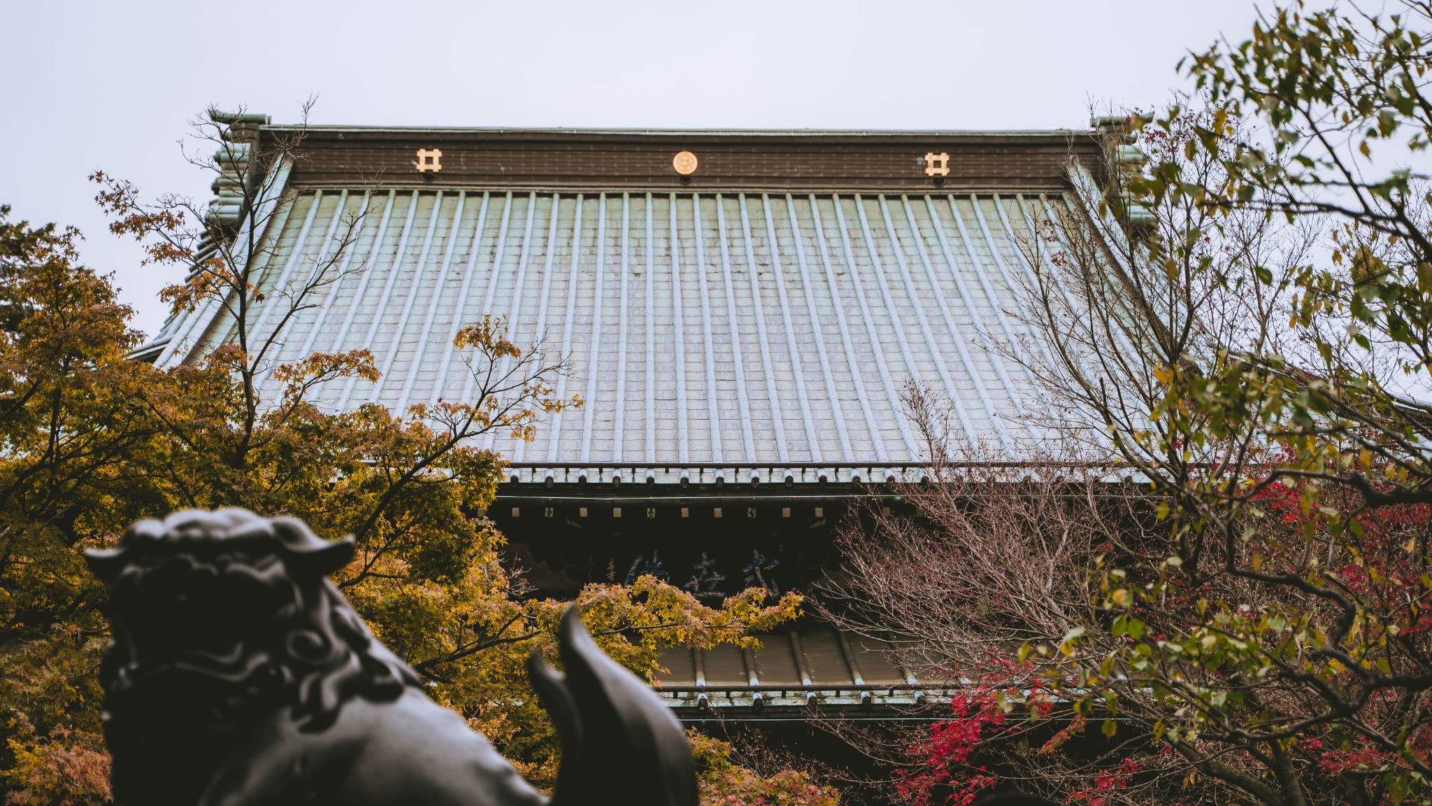 東京自助遊攻略