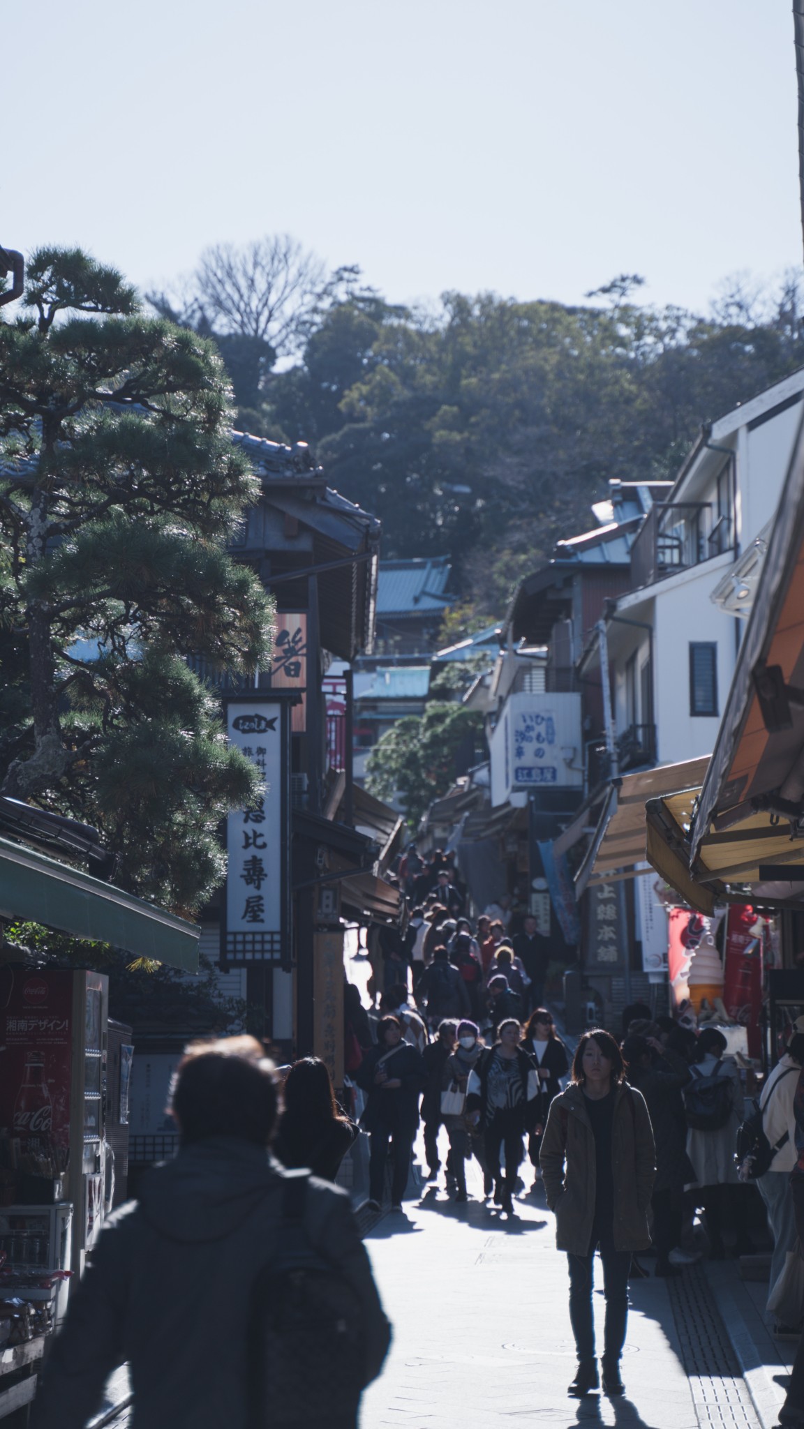 東京自助遊攻略