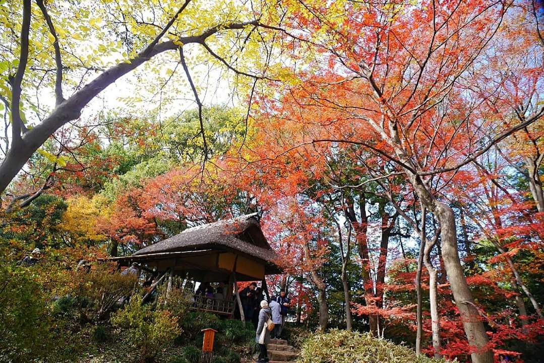 東京自助遊攻略