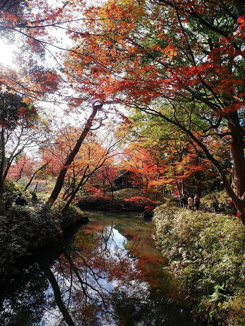 東京自助遊攻略