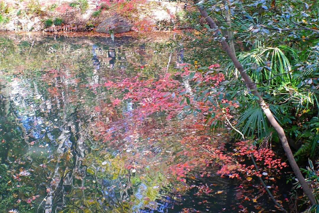 東京自助遊攻略