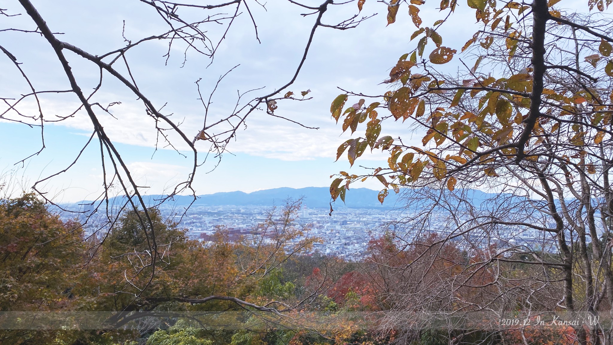 京都自助遊攻略