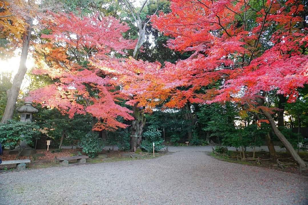 東京自助遊攻略