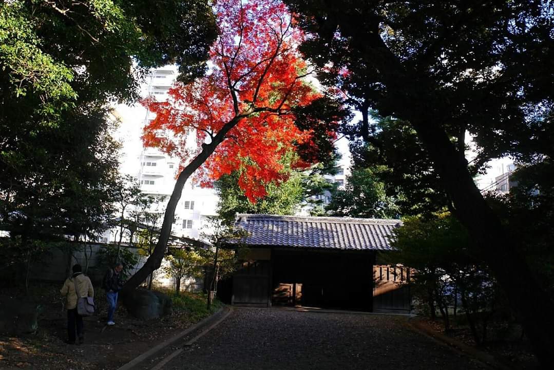 東京自助遊攻略