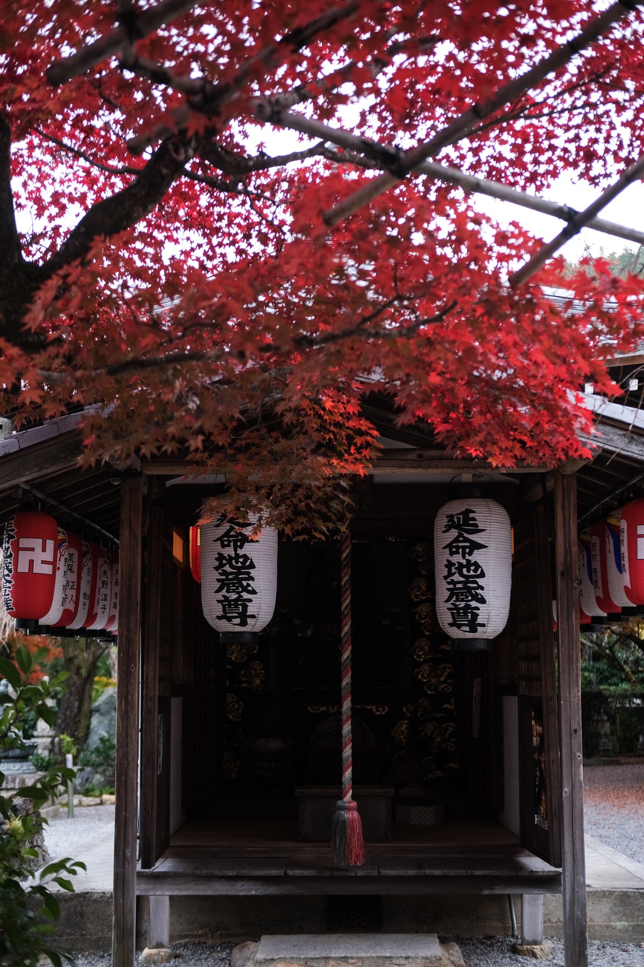 京都自助遊攻略