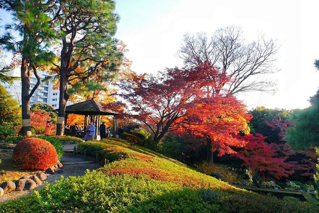 東京自助遊攻略