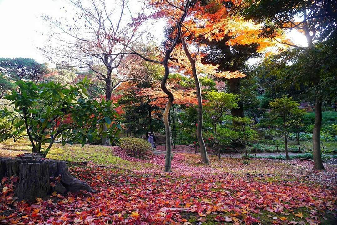 東京自助遊攻略