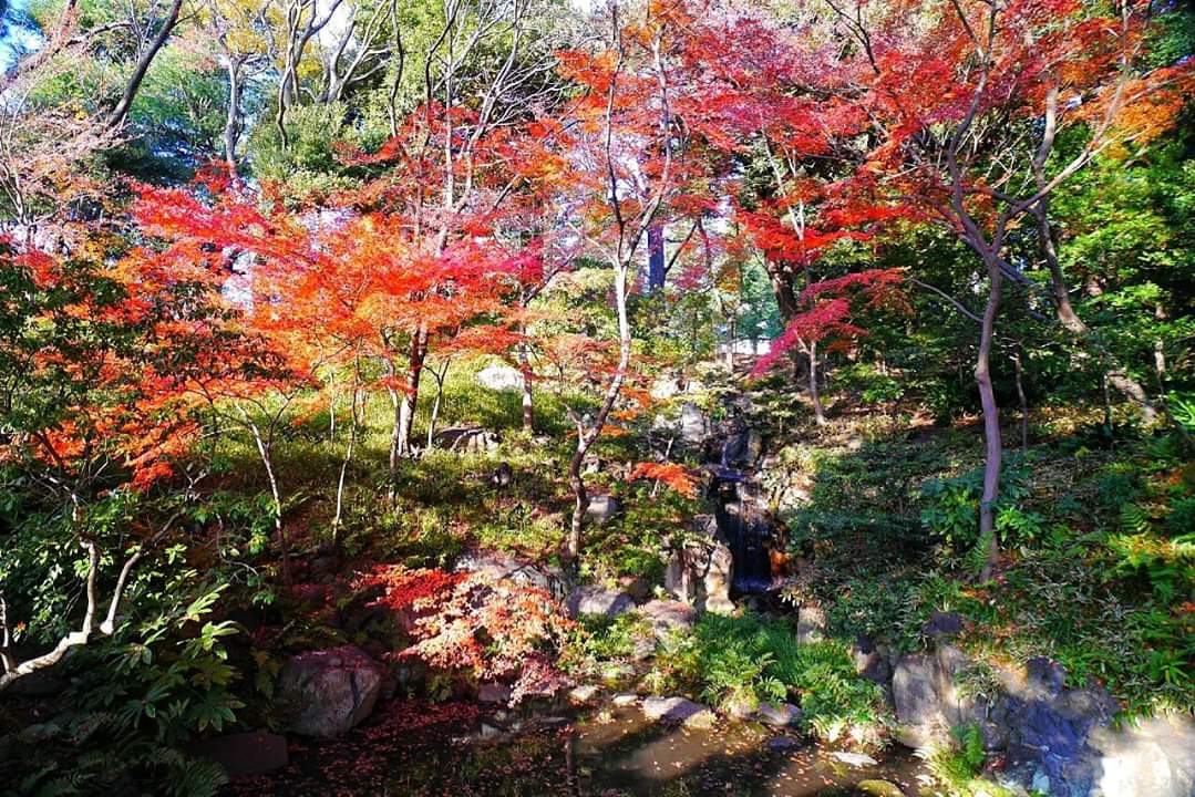 東京自助遊攻略