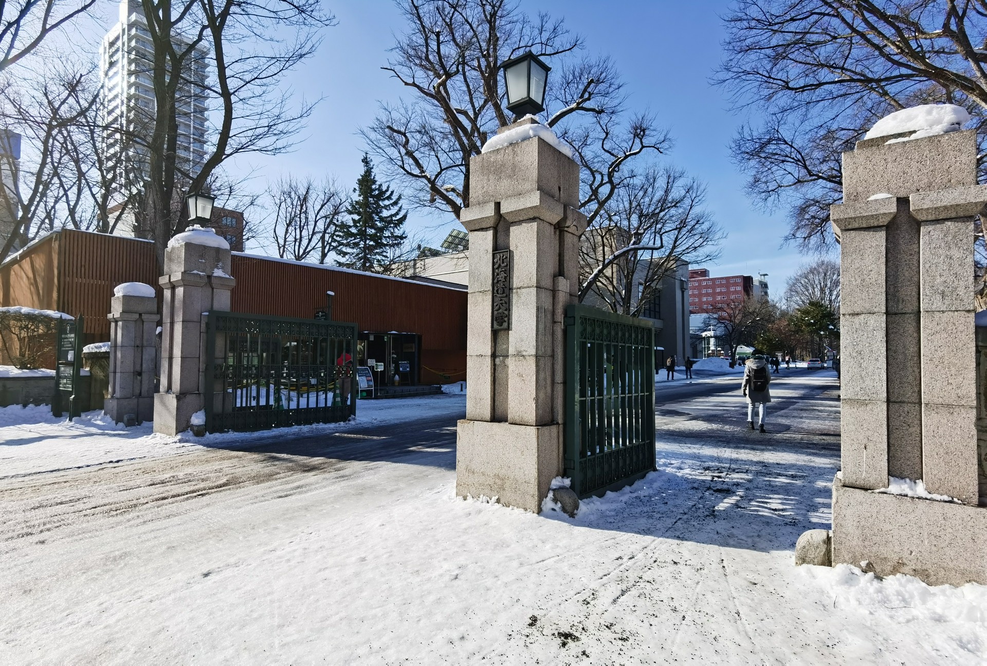 北海道大学札幌校区                          点击查看大图