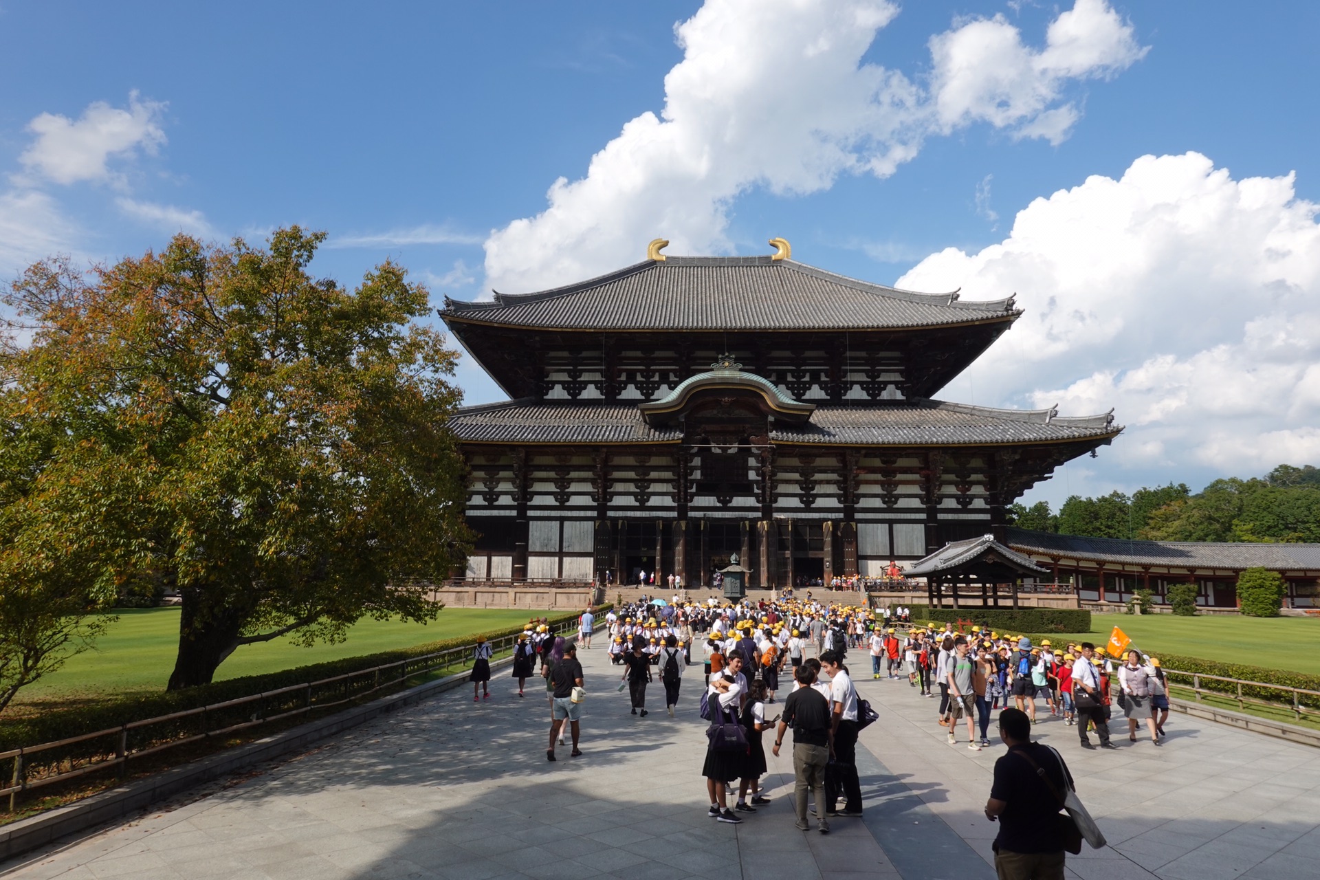 京都自助遊攻略