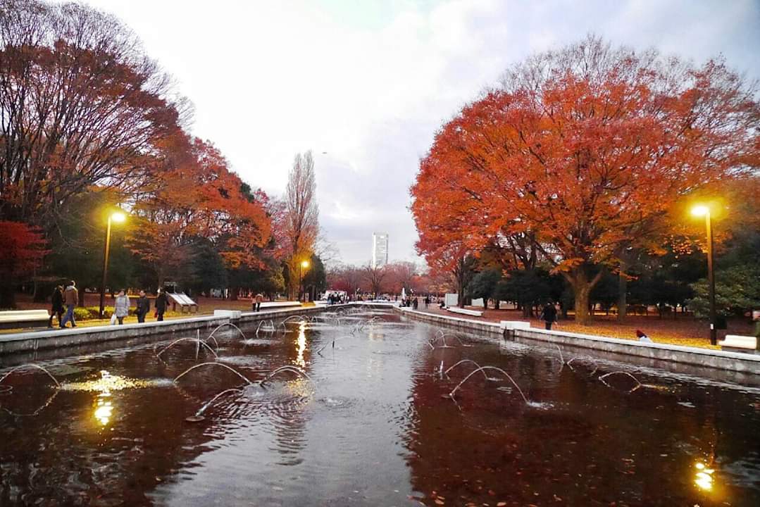 東京自助遊攻略