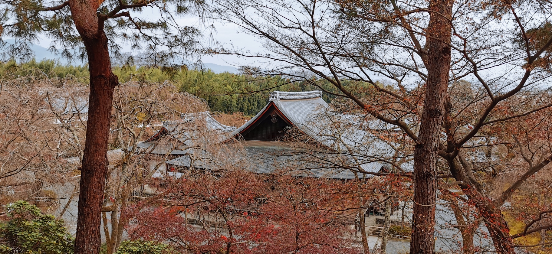 京都自助遊攻略