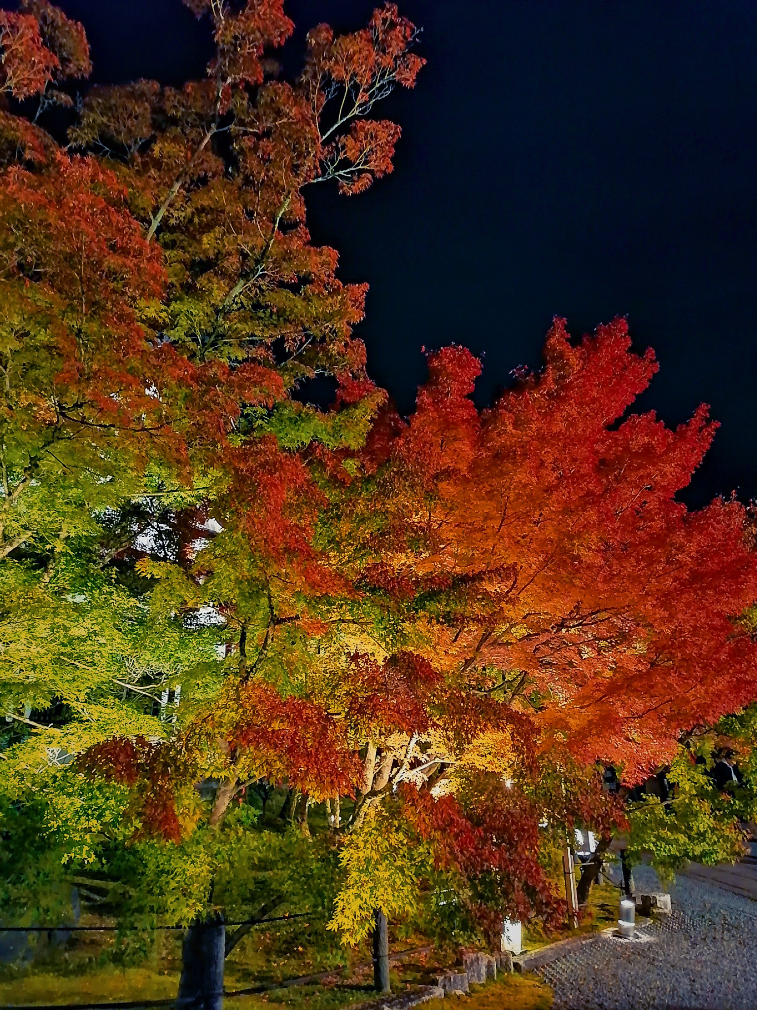 京都自助遊攻略