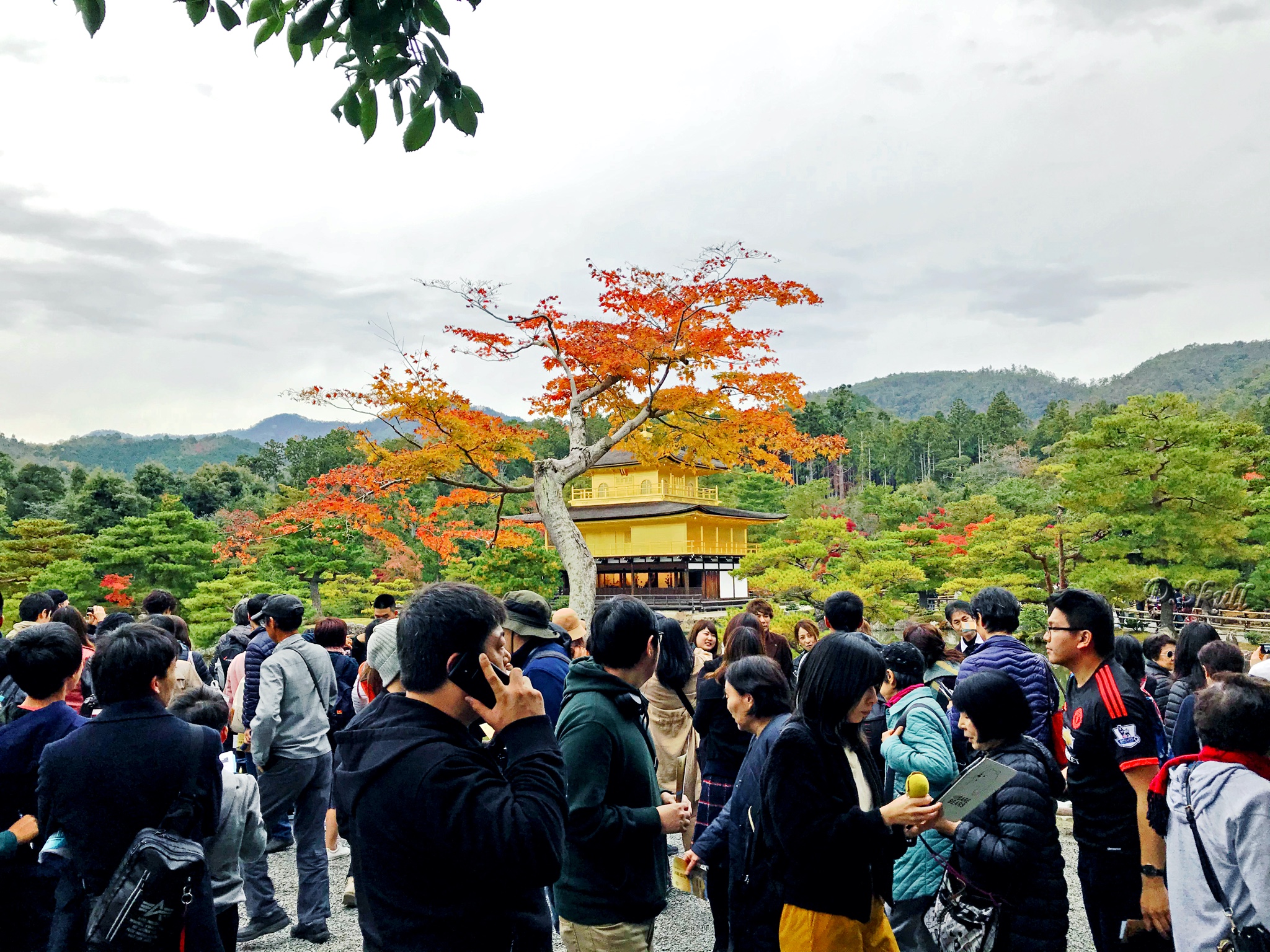 京都自助遊攻略