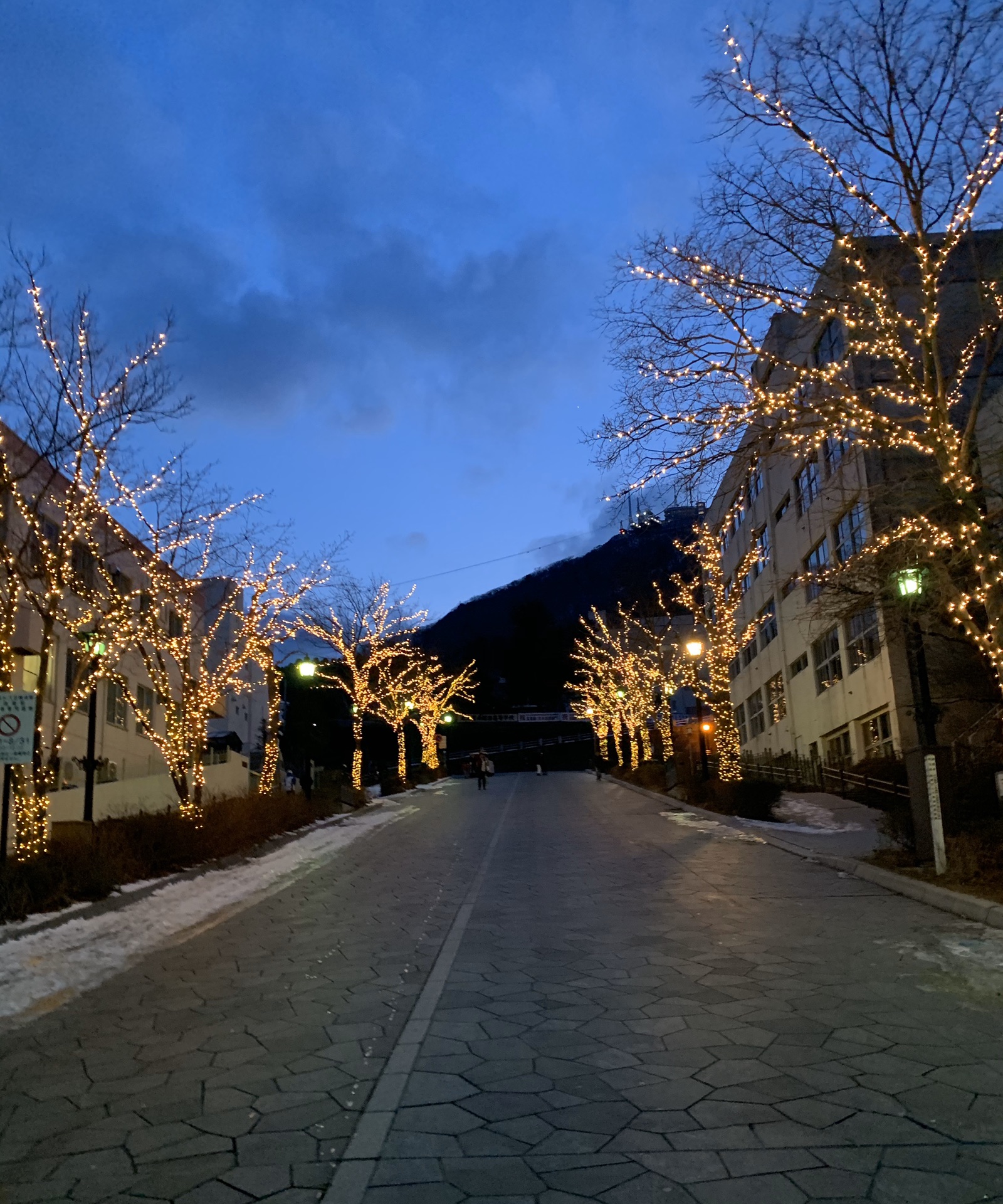 北海道自助遊攻略