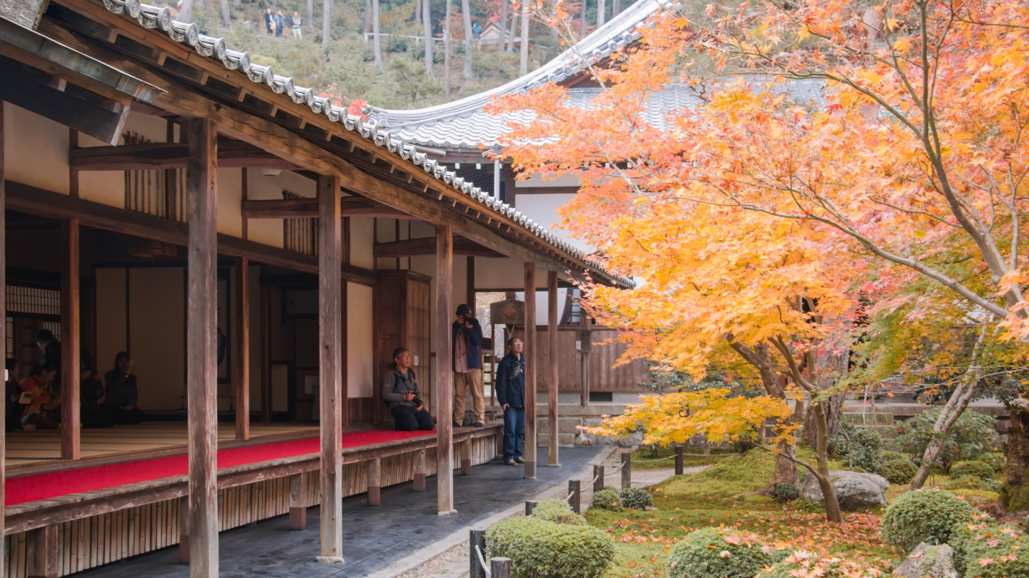 京都自助遊攻略