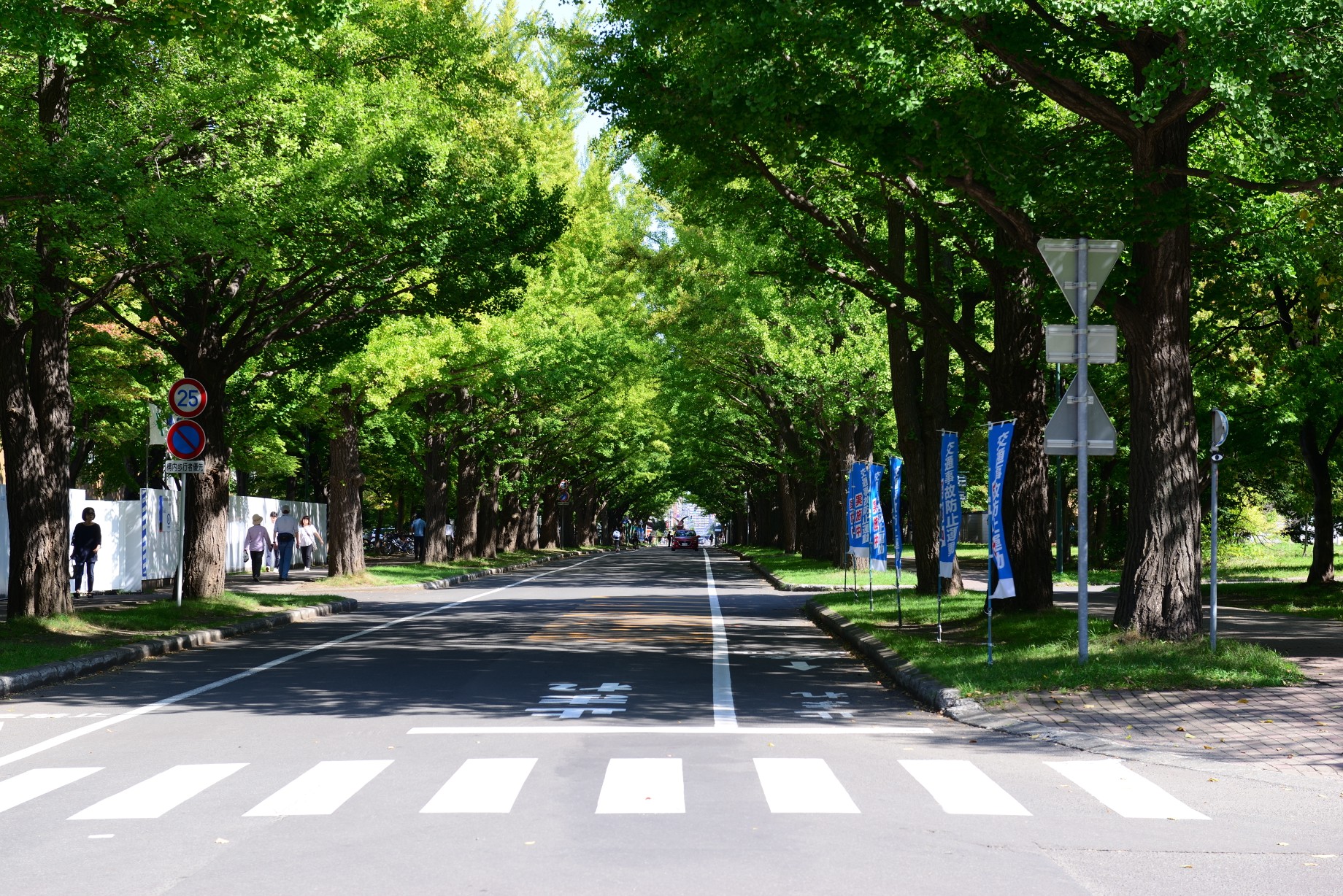 北海道自助遊攻略