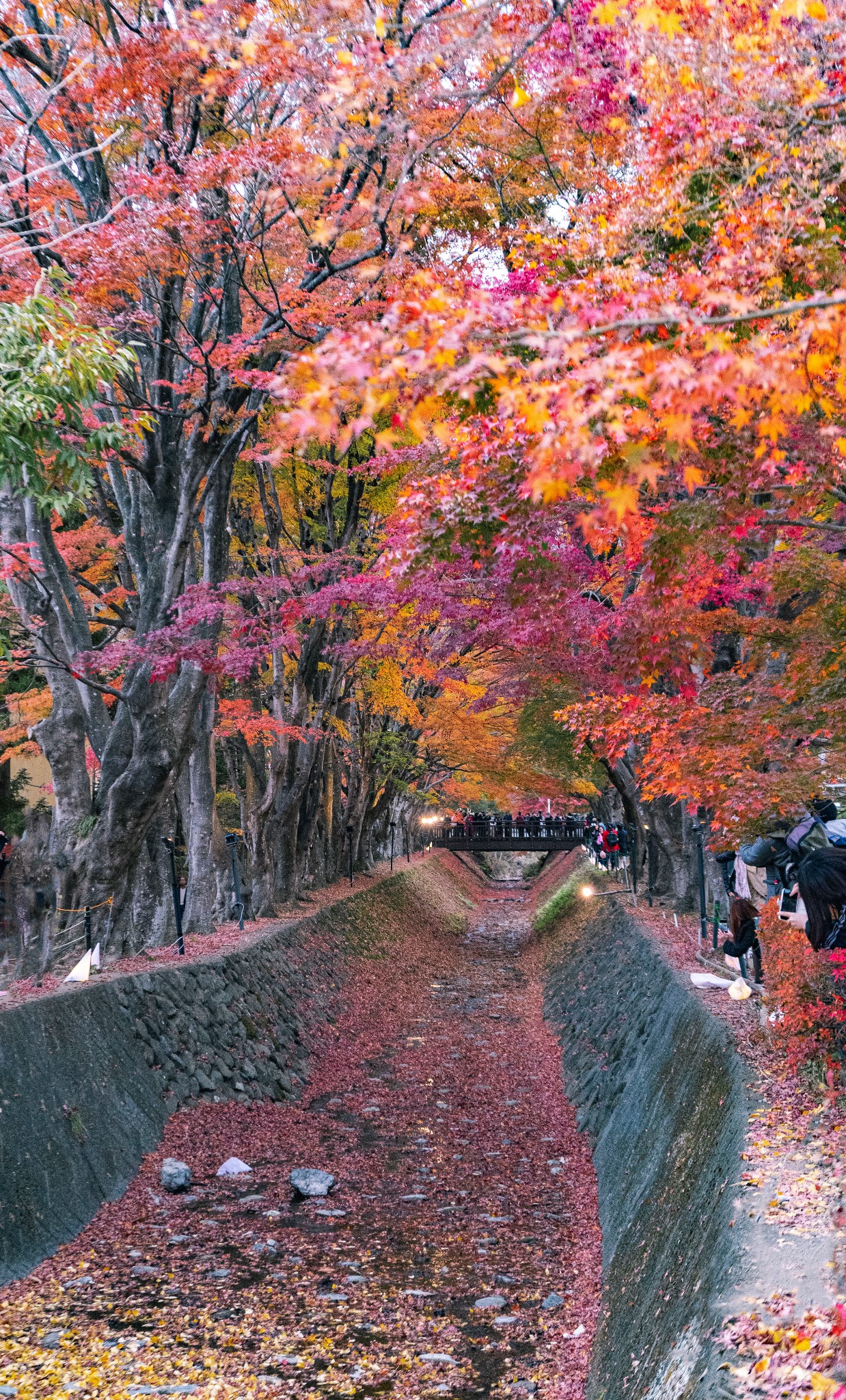 富士山自助遊攻略