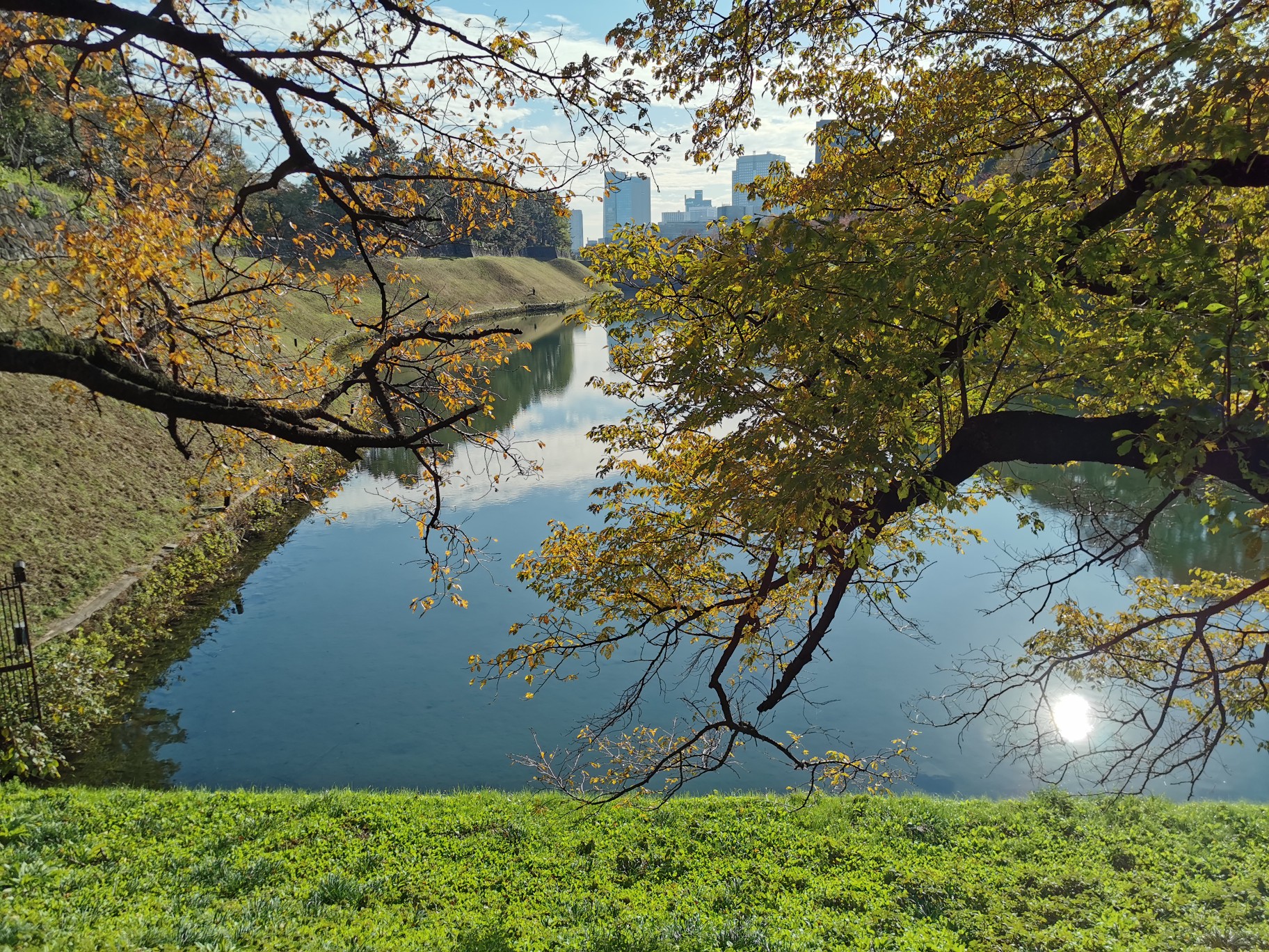 東京自助遊攻略