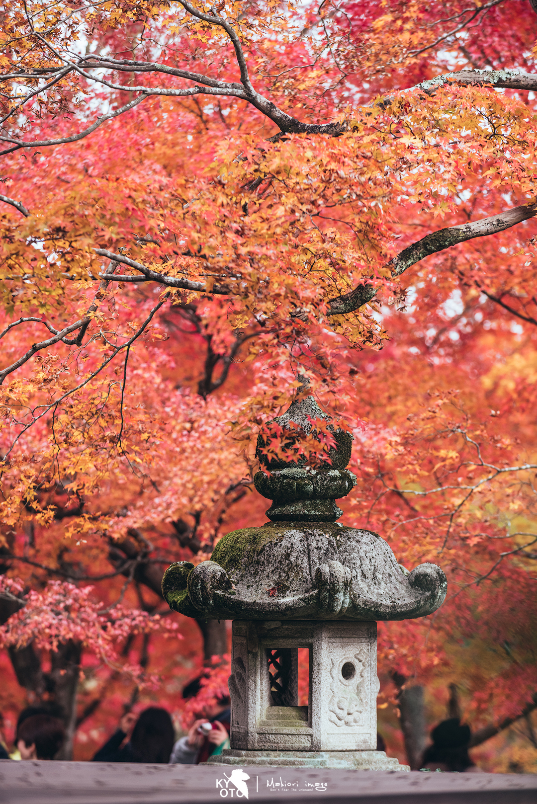 京都自助遊攻略