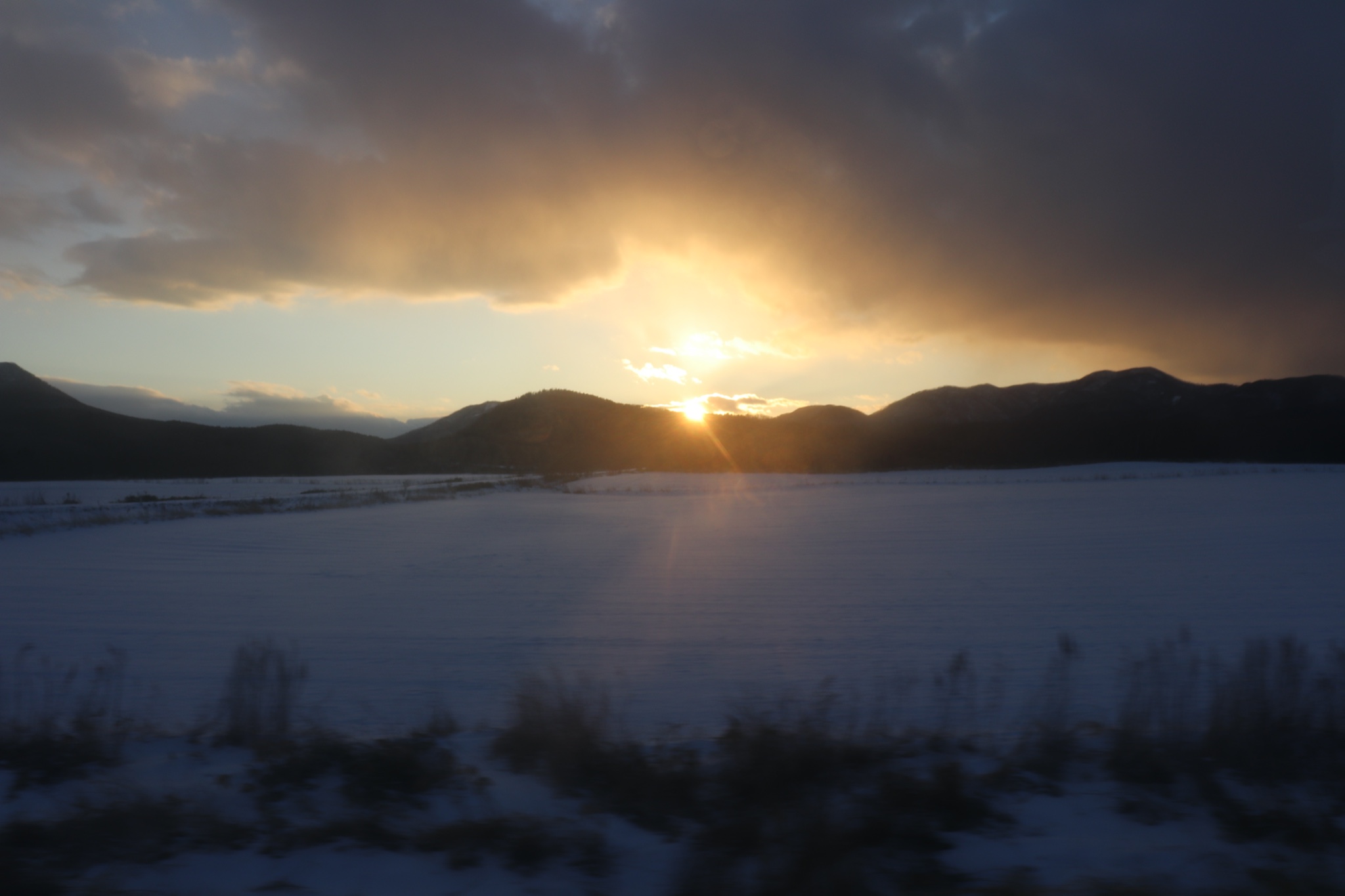 北海道自助遊攻略