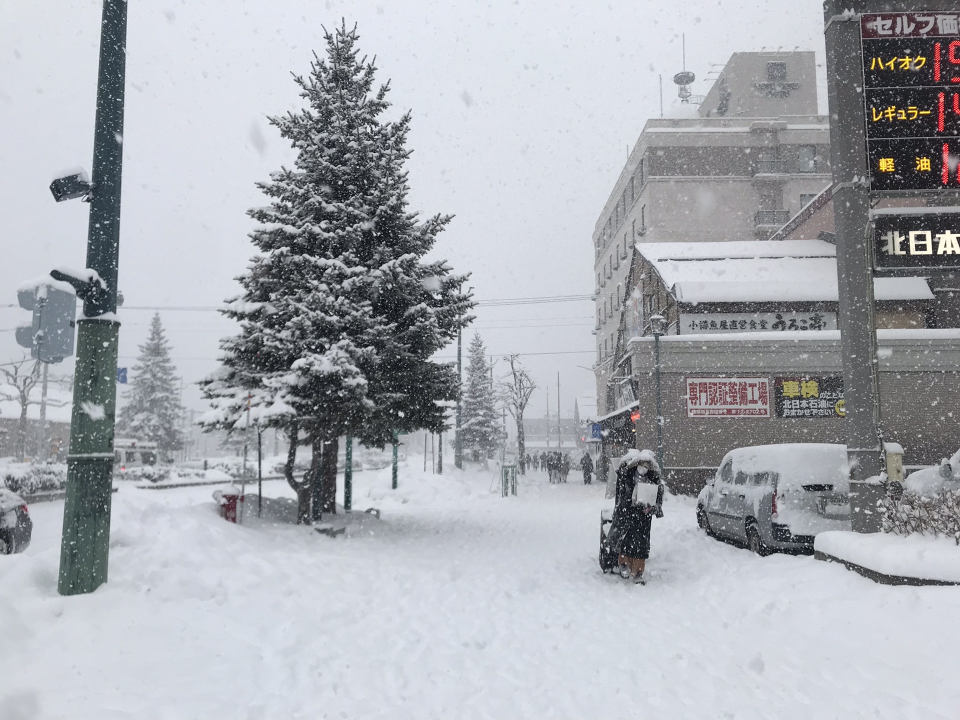 北海道自助遊攻略