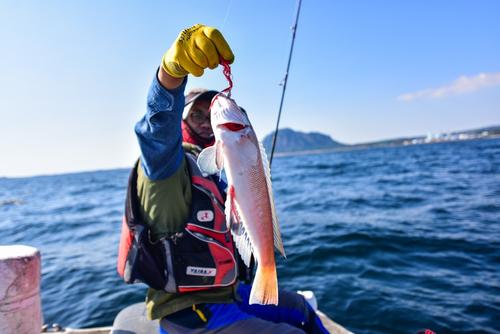 三亚大东海出海纯海钓游专业钓鱼艇带内舱卫生间百分百渔获每船不超12