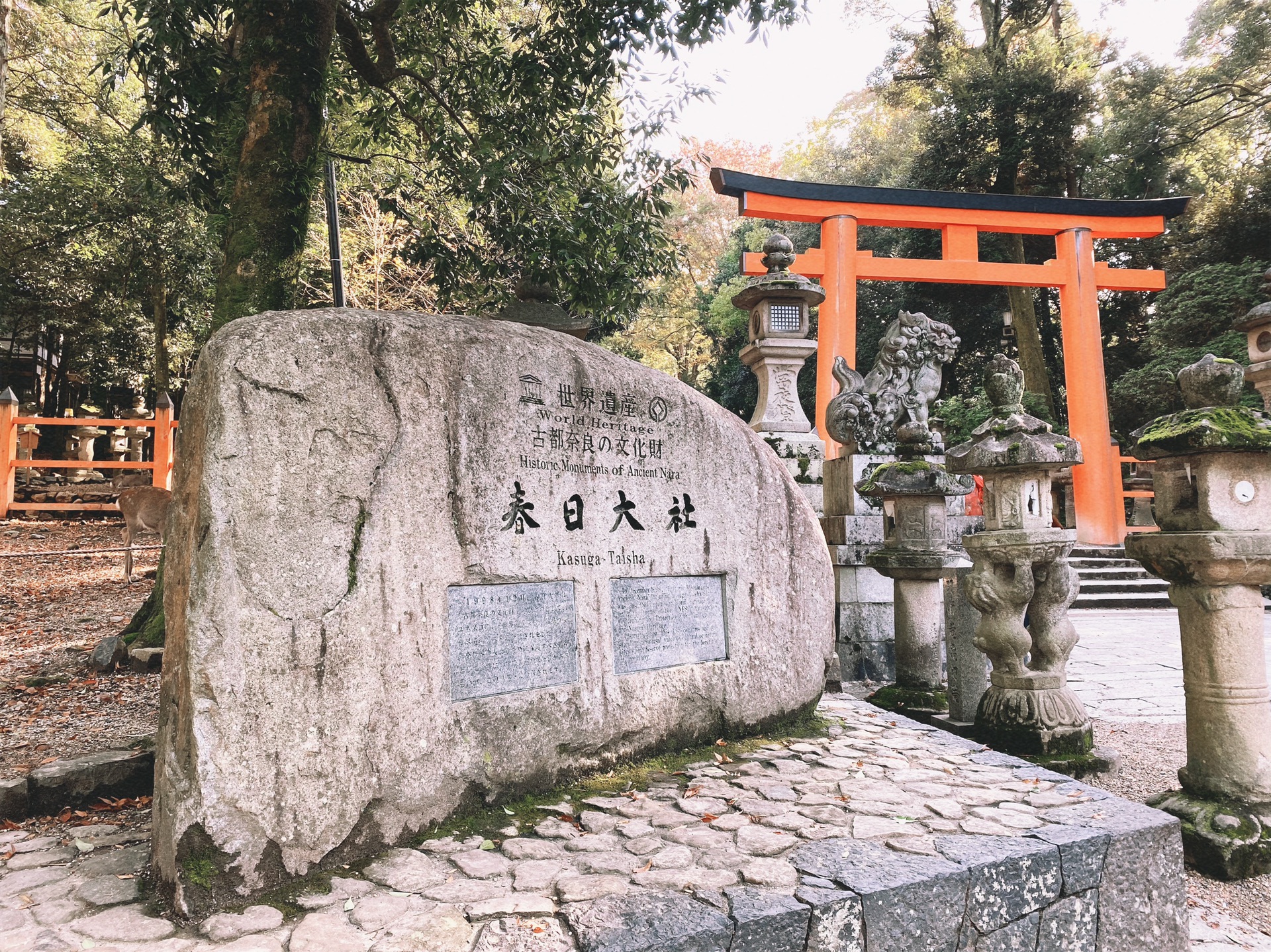 京都自助遊攻略