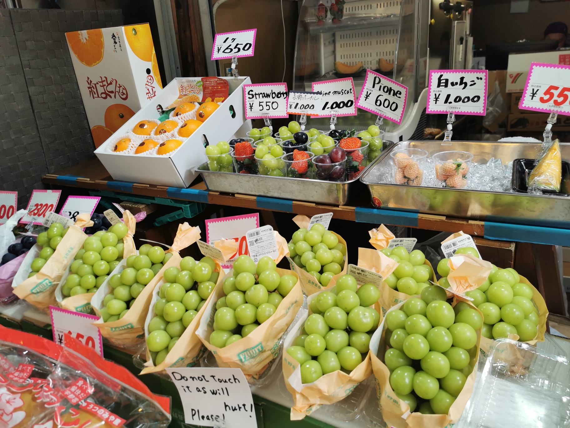 東京自助遊攻略