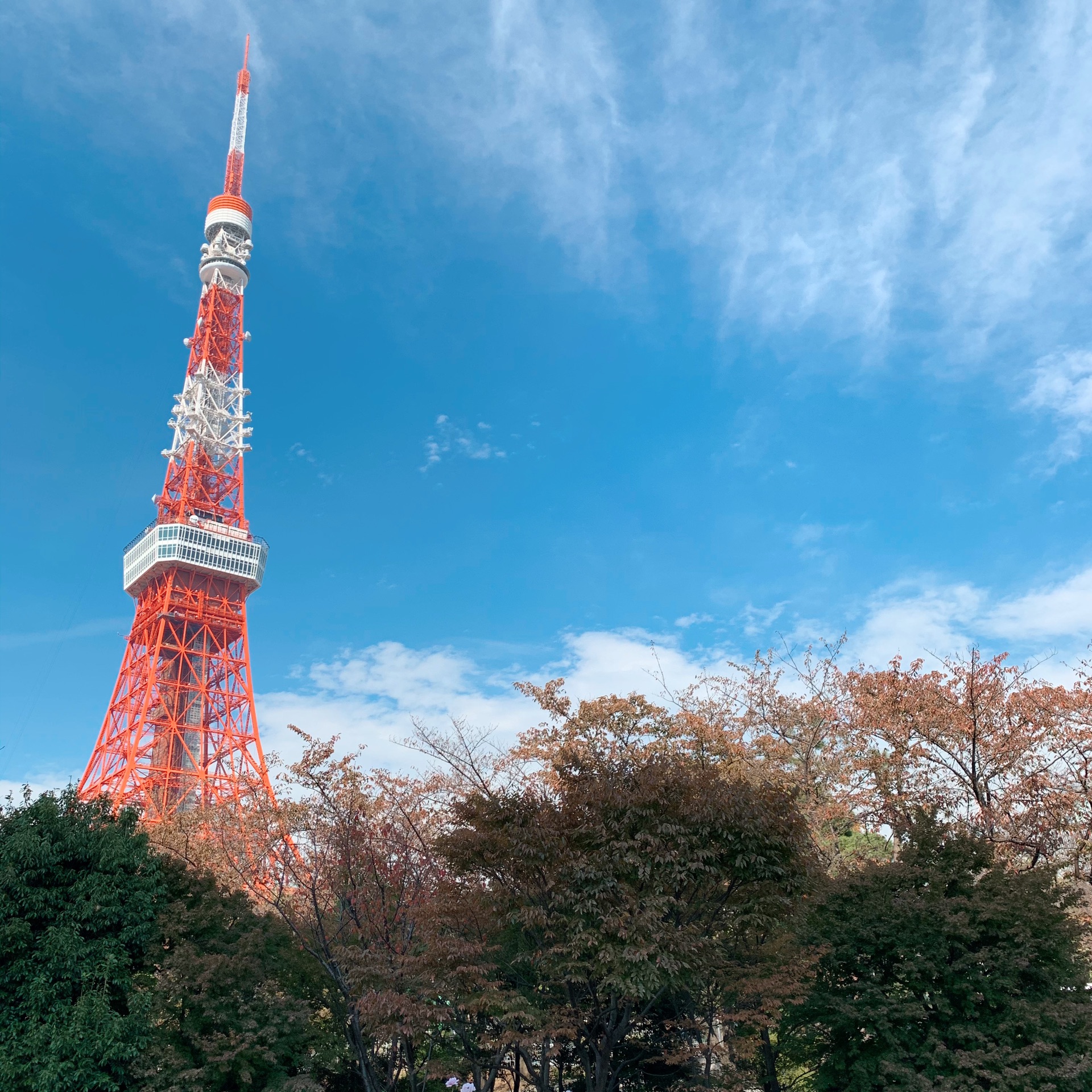 東京自助遊攻略