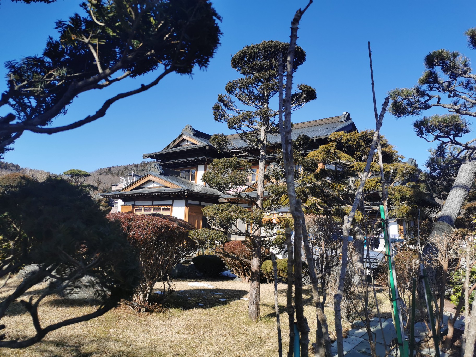 東京自助遊攻略