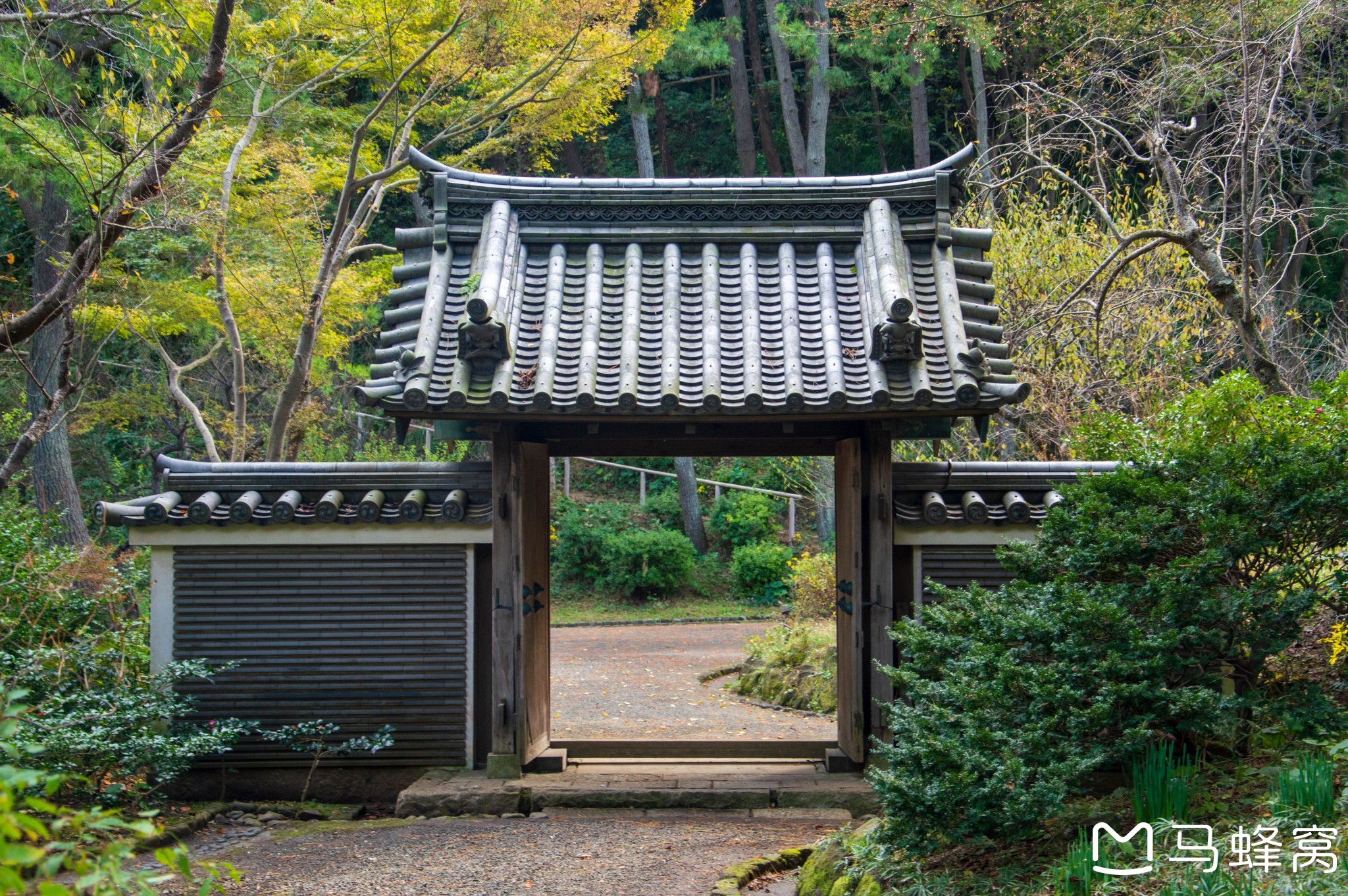 東京自助遊攻略