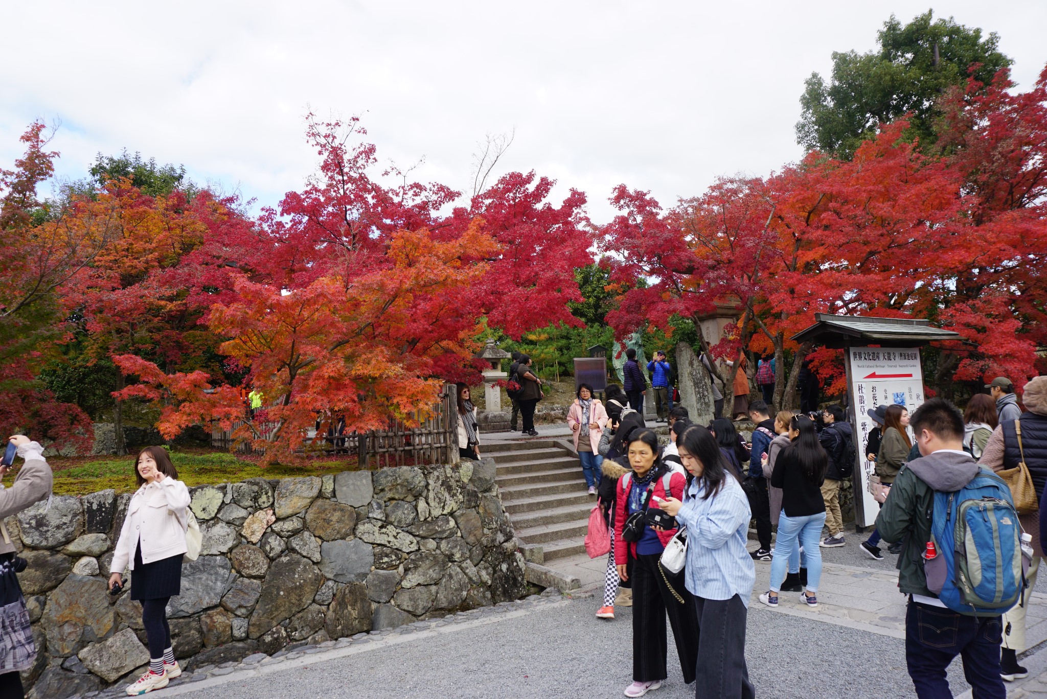 京都自助遊攻略