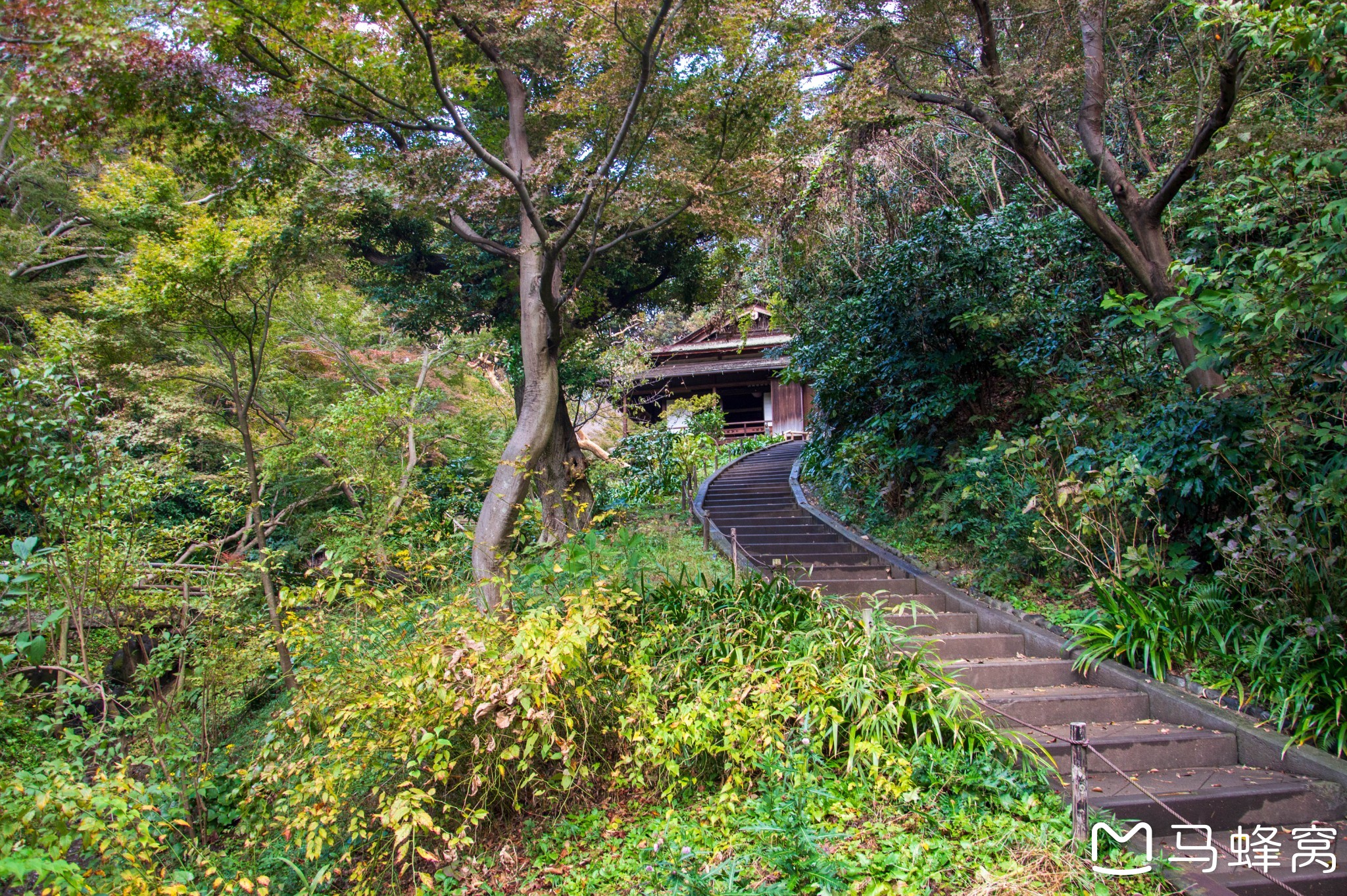 東京自助遊攻略