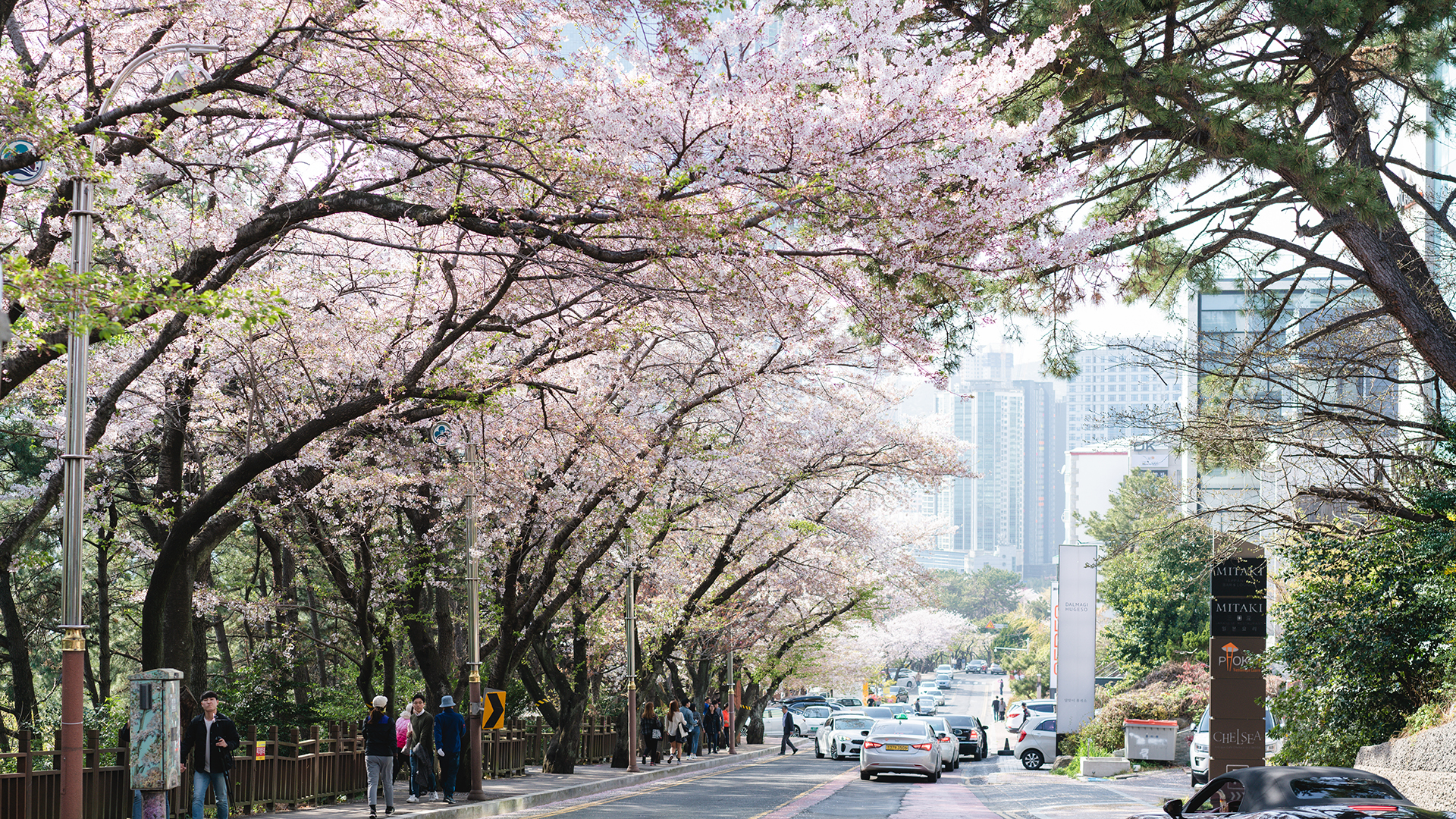 釜山自助遊攻略