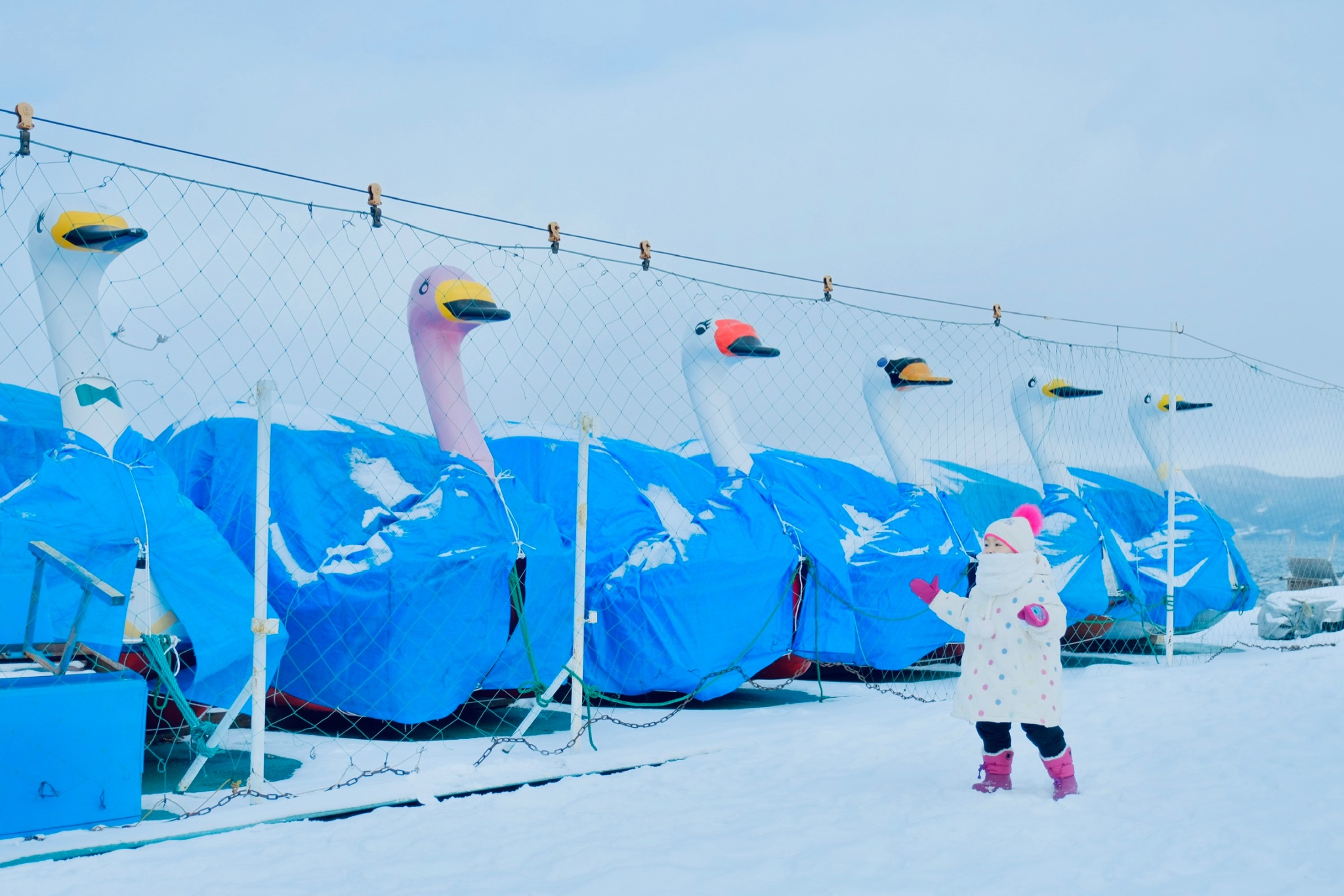 北海道自助遊攻略